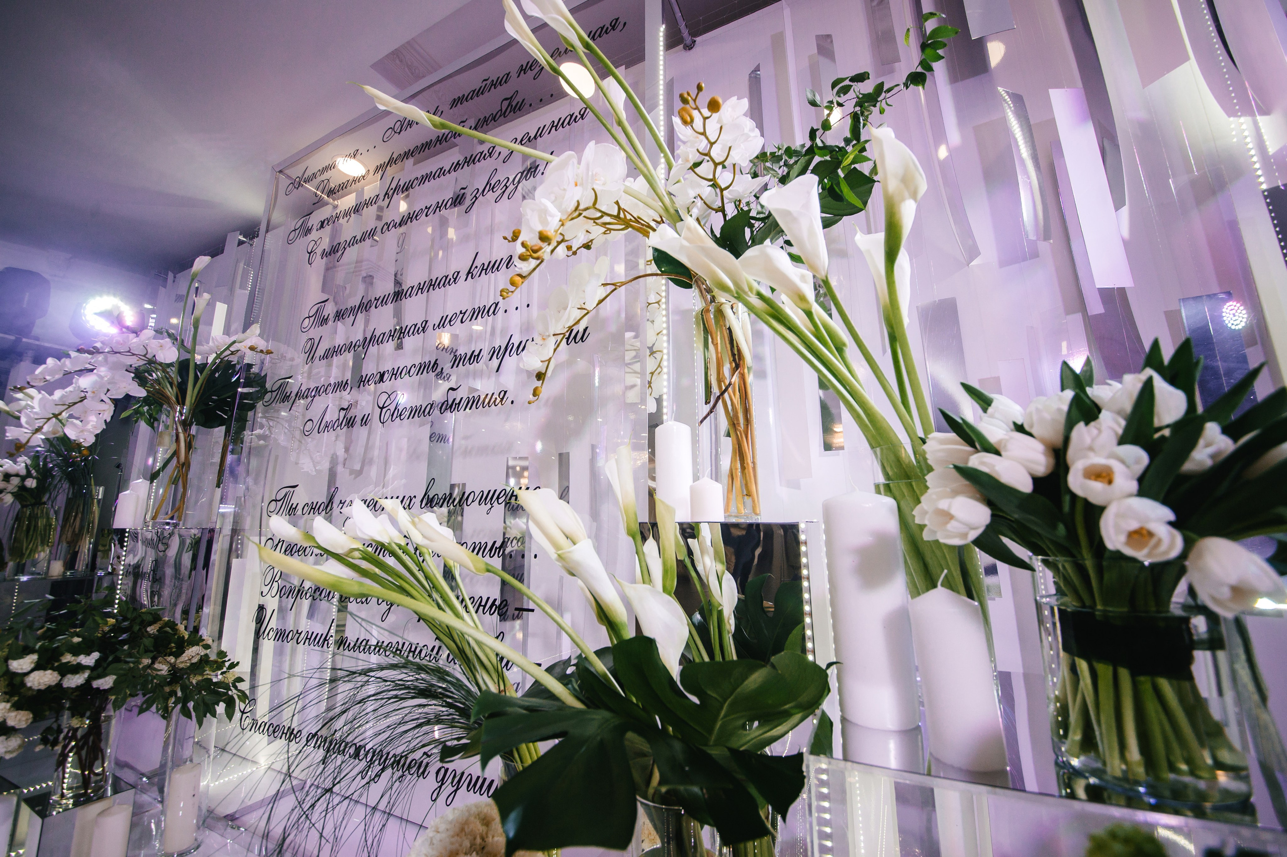 Кристальный мир Анастасии. Portfolio