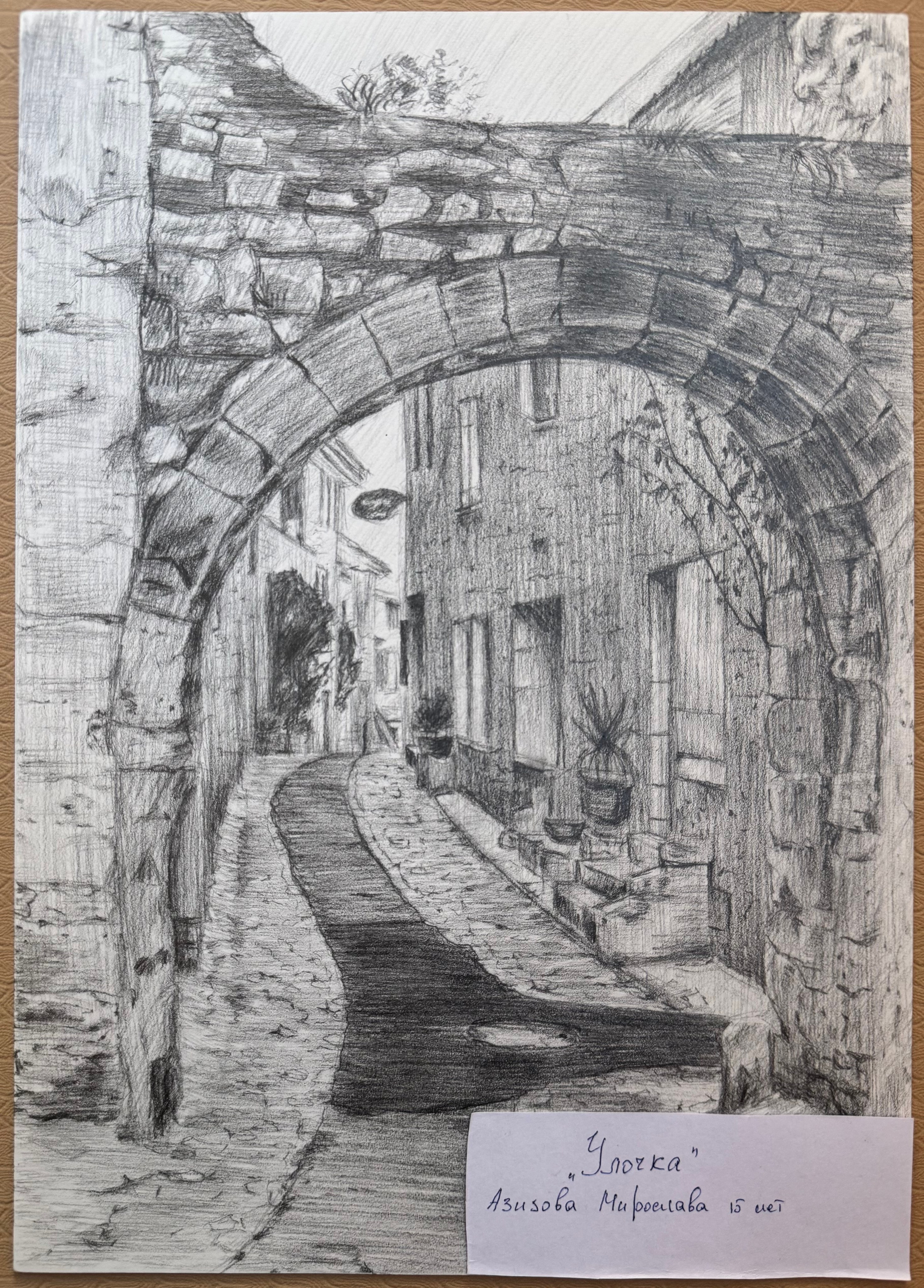 Азизова Мирослава. АНО «Центра социальных проектов «Путь в большой мир»