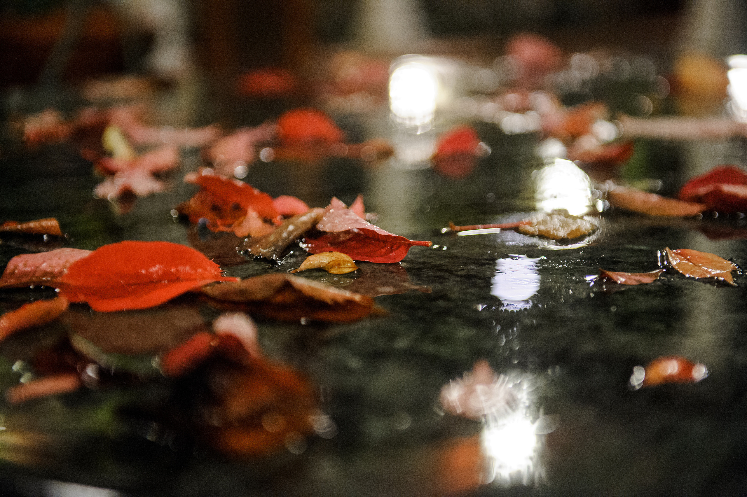 Фестиваль «Возраст Счастья» 2015. День Третий. Семейный фотограф в Москве Елена Снегирева