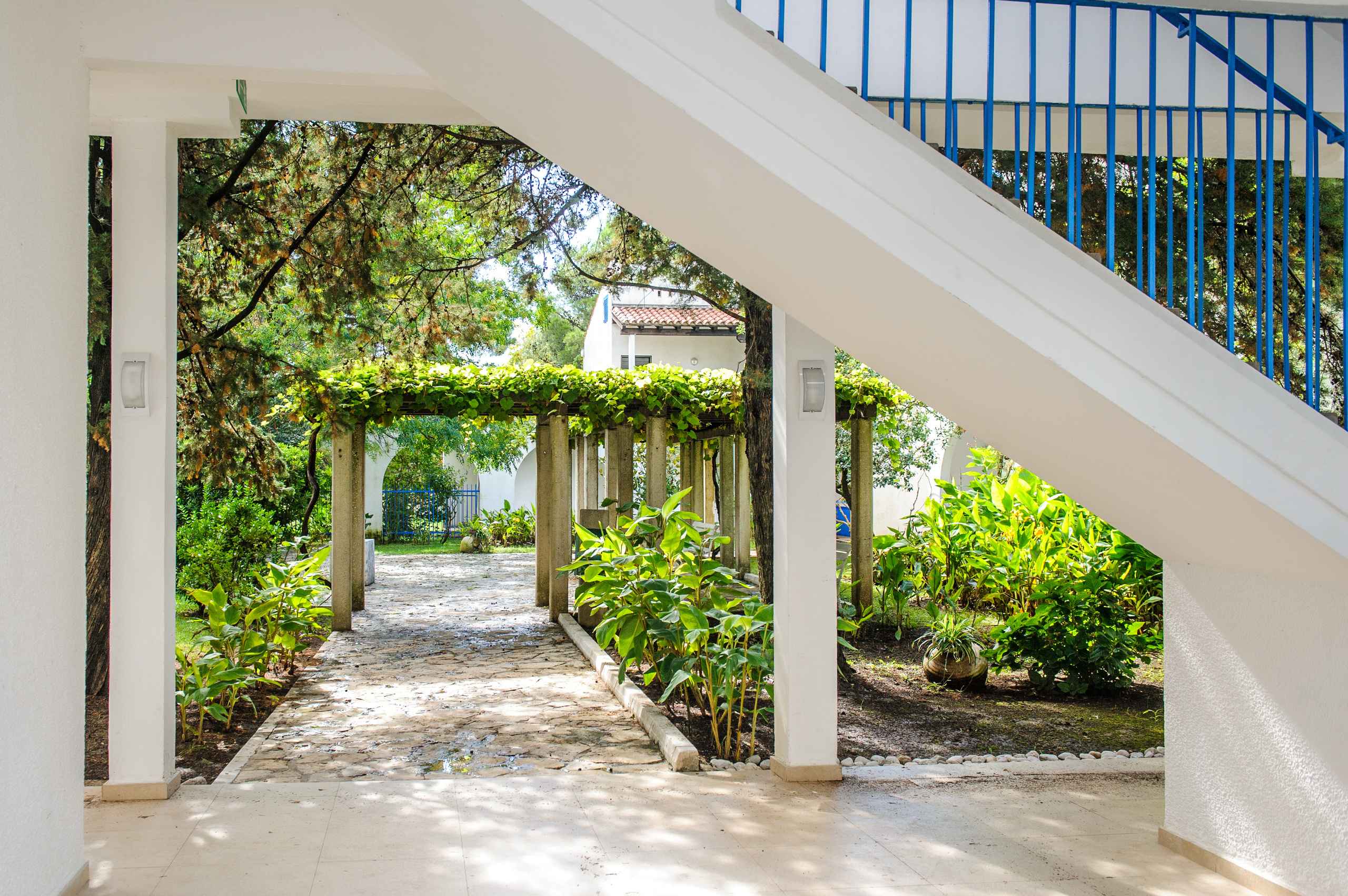 Фестиваль «Возраст Счастья» 2015. День Девятый. Семейный фотограф в Москве Елена Снегирева