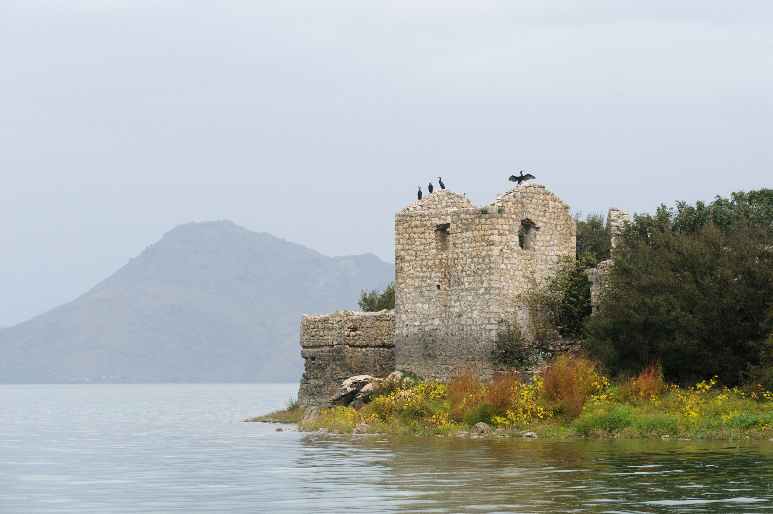 Фестиваль «Возраст Счастья» 2015. День Седьмой. Семейный фотограф в Москве Елена Снегирева