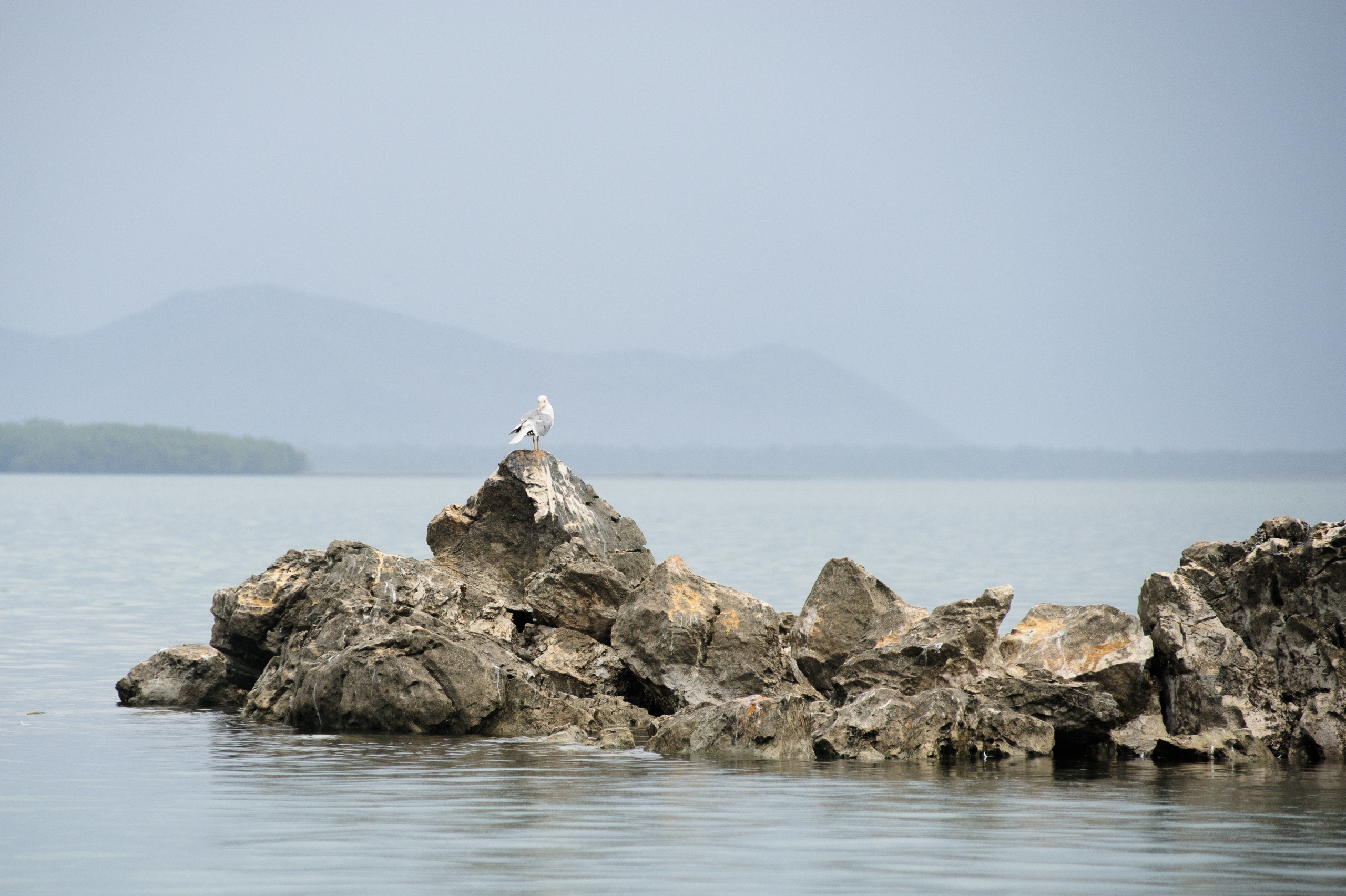 Фестиваль «Возраст Счастья» 2015. День Седьмой. Семейный фотограф в Москве Елена Снегирева
