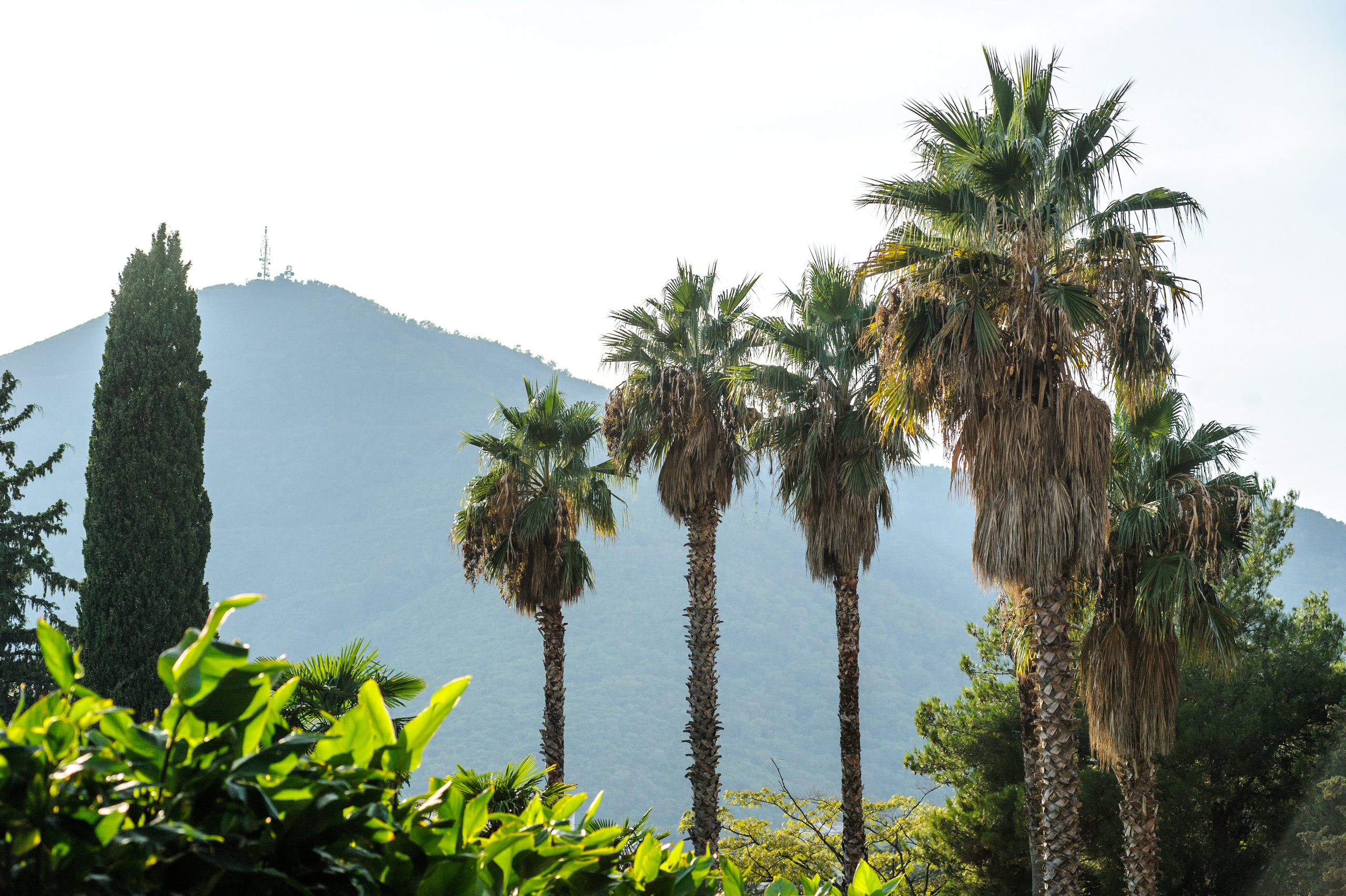 Фестиваль «Возраст Счастья» 2015. День Первый. Семейный фотограф в Москве Елена Снегирева