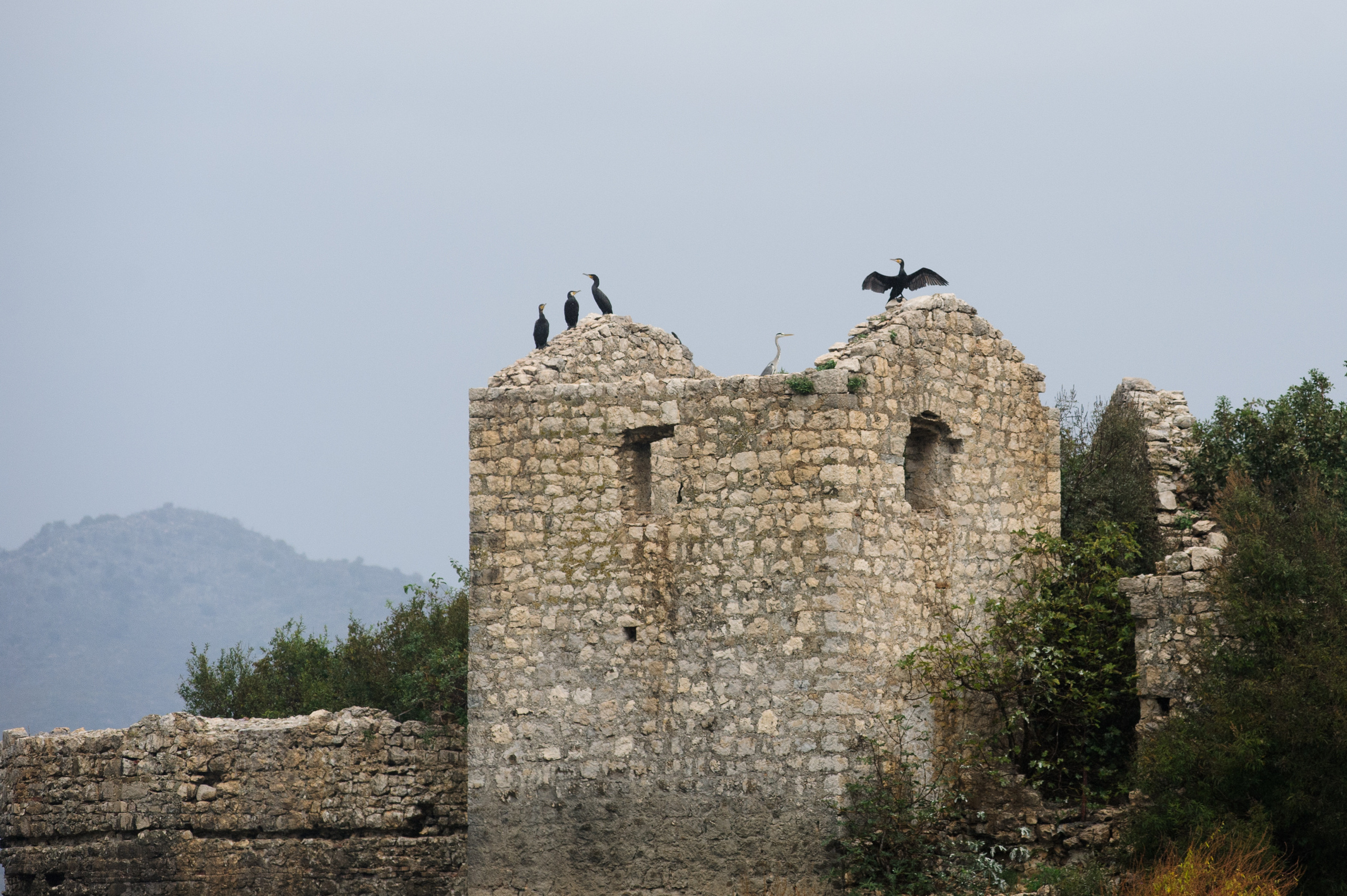 Фестиваль «Возраст Счастья» 2015. День Седьмой. Семейный фотограф в Москве Елена Снегирева