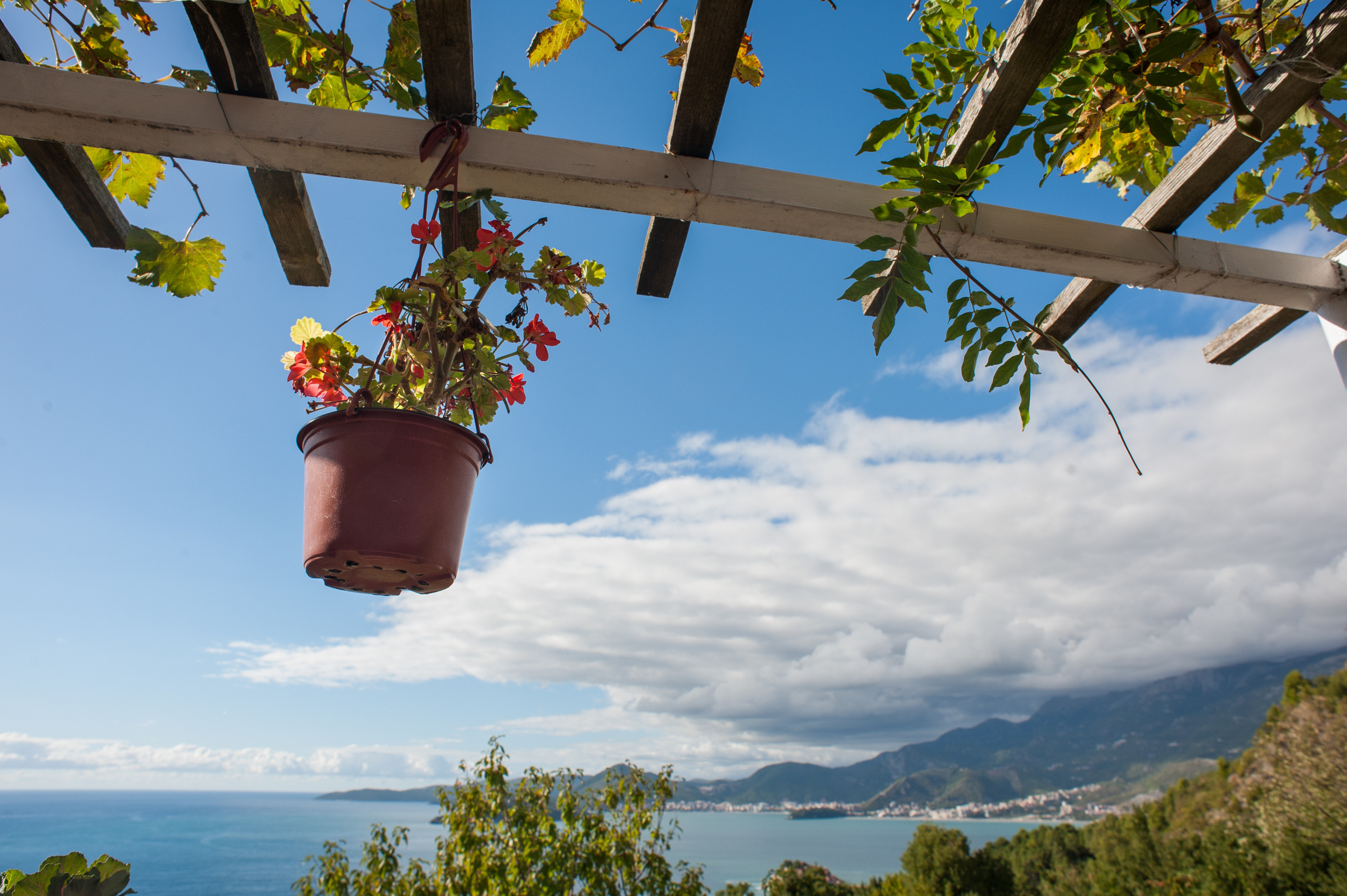 Фестиваль «Возраст Счастья» 2015. День Четвертый. Семейный фотограф в Москве Елена Снегирева