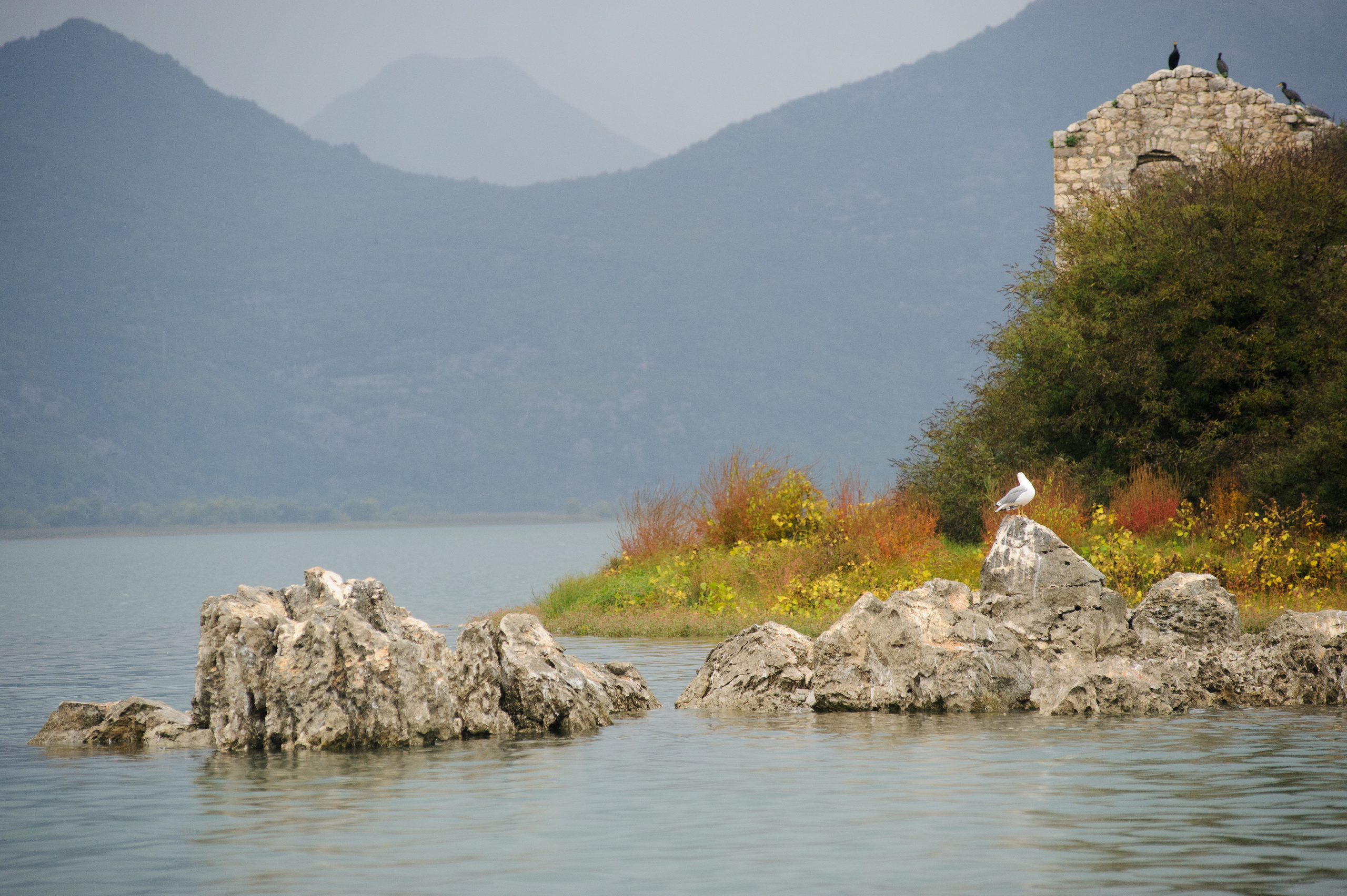Фестиваль «Возраст Счастья» 2015. День Седьмой. Семейный фотограф в Москве Елена Снегирева