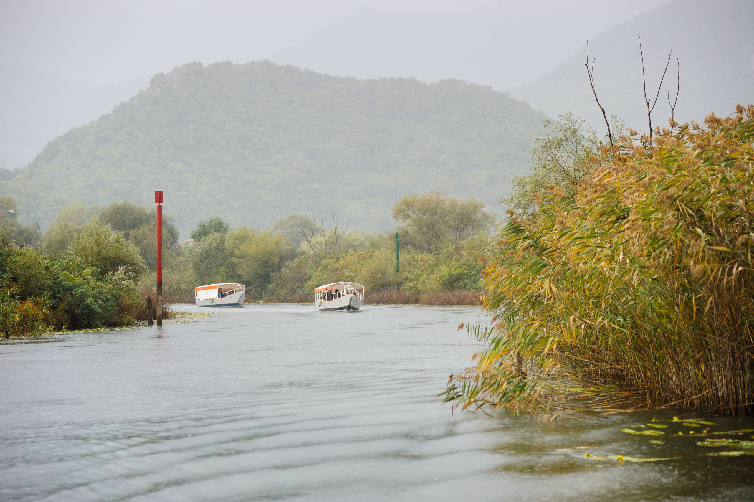 Фестиваль «Возраст Счастья» 2015. День Седьмой. Семейный фотограф в Москве Елена Снегирева