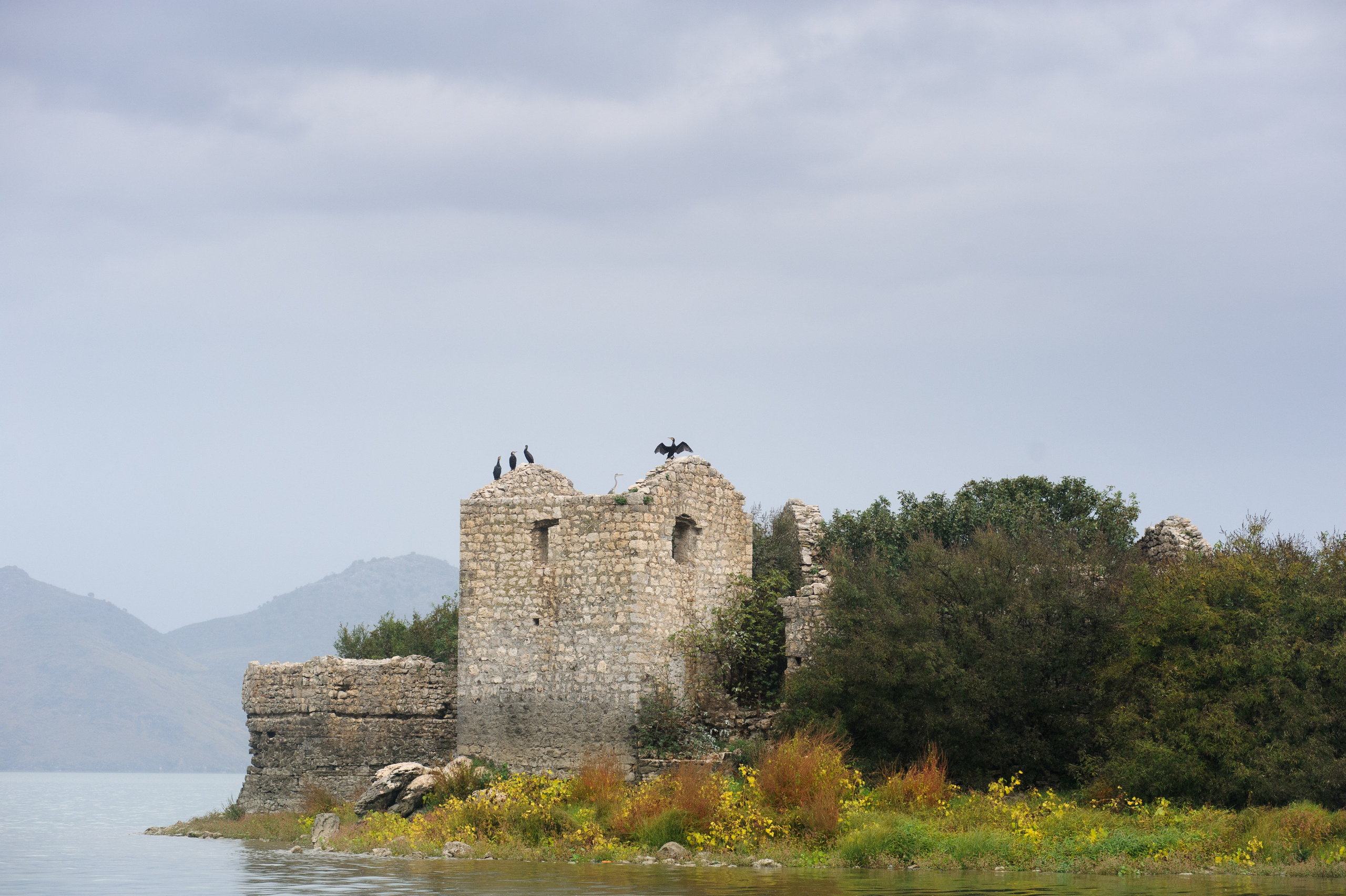 Фестиваль «Возраст Счастья» 2015. День Седьмой. Семейный фотограф в Москве Елена Снегирева