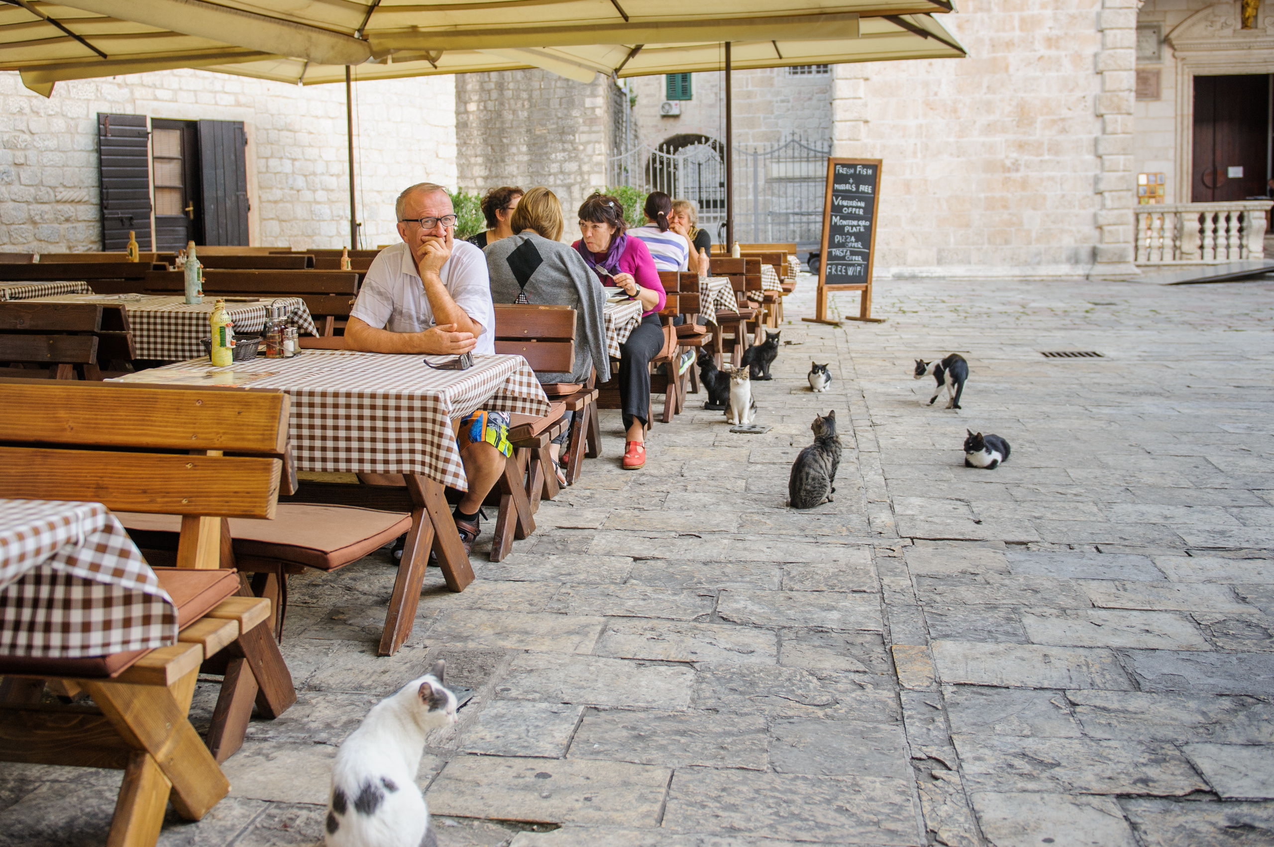 Фестиваль «Возраст Счастья» 2015. День Пятый. Семейный фотограф в Москве Елена Снегирева
