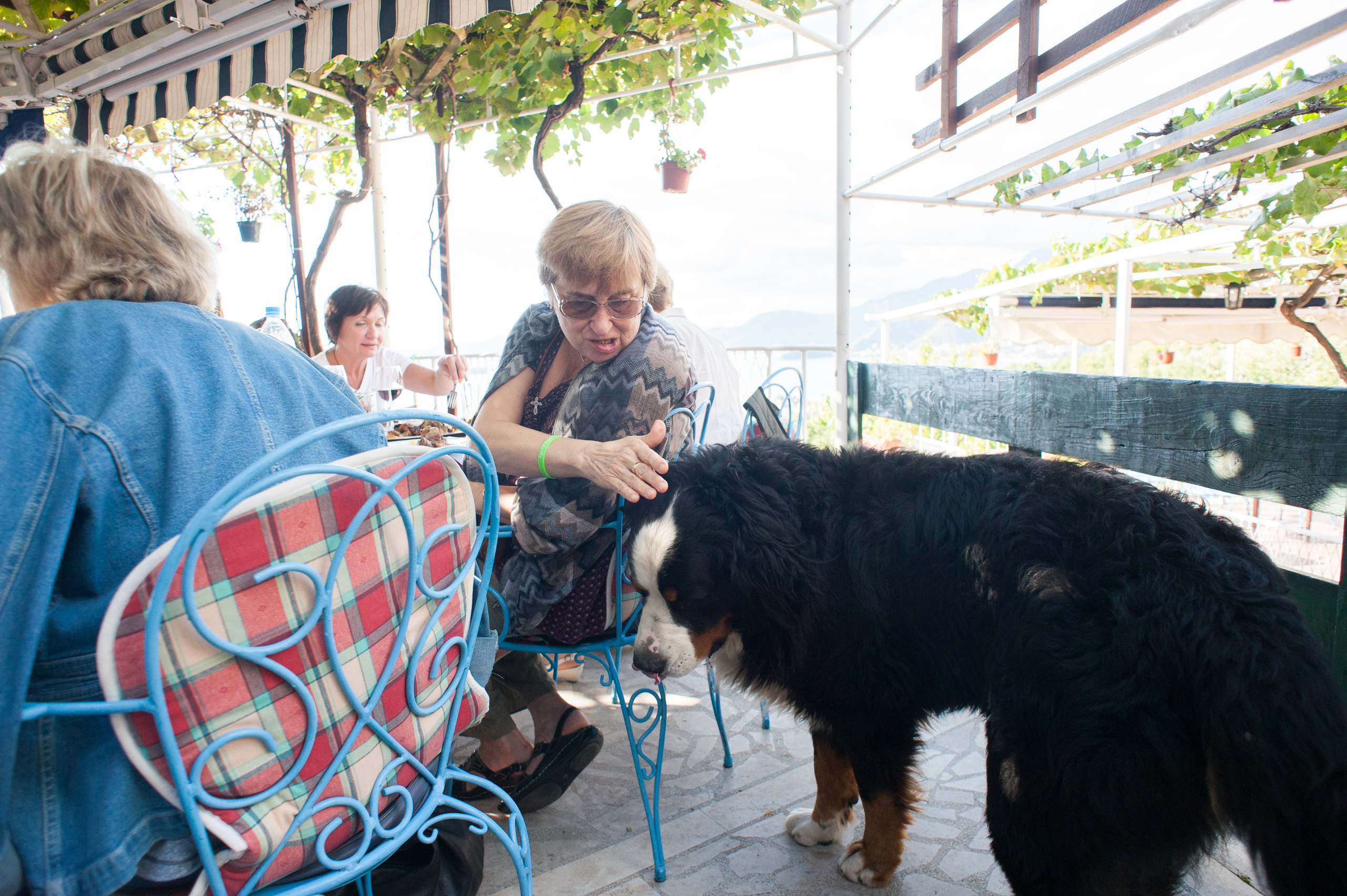 Фестиваль «Возраст Счастья» 2015. День Четвертый. Семейный фотограф в Москве Елена Снегирева