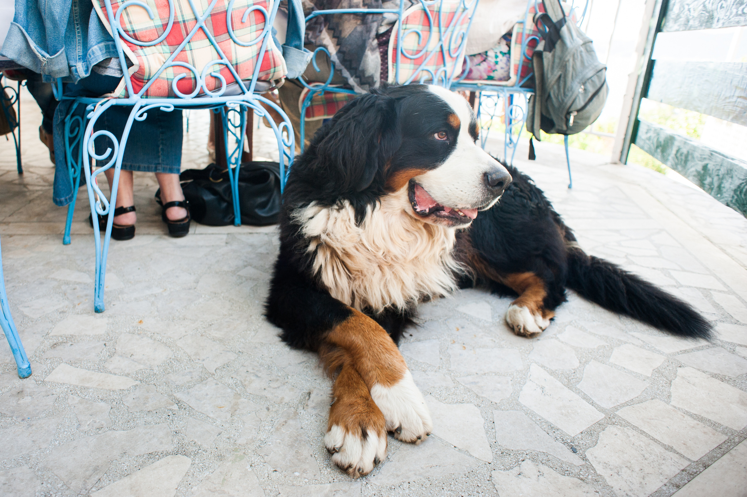 Фестиваль «Возраст Счастья» 2015. День Четвертый. Семейный фотограф в Москве Елена Снегирева