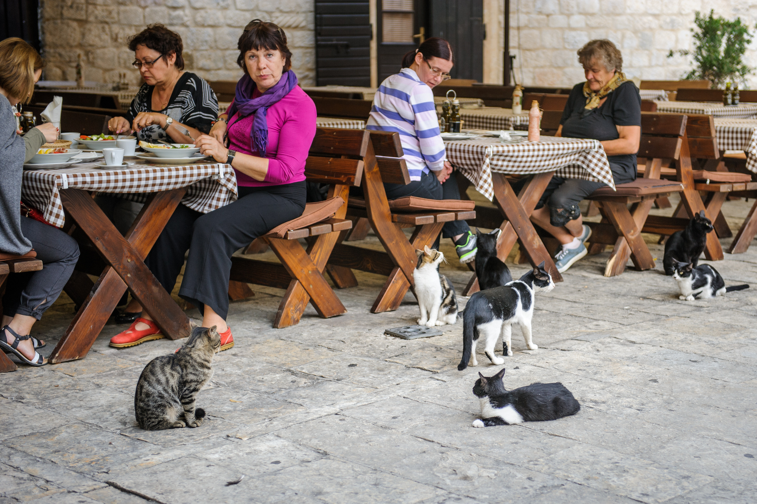 Фестиваль «Возраст Счастья» 2015. День Пятый. Семейный фотограф в Москве Елена Снегирева