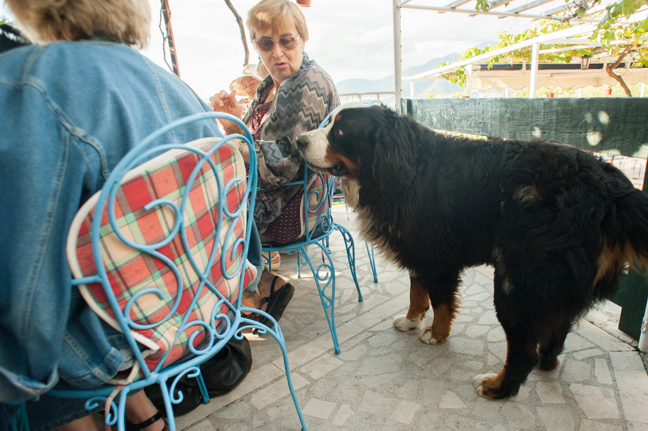 Фестиваль «Возраст Счастья» 2015. День Четвертый. Семейный фотограф в Москве Елена Снегирева