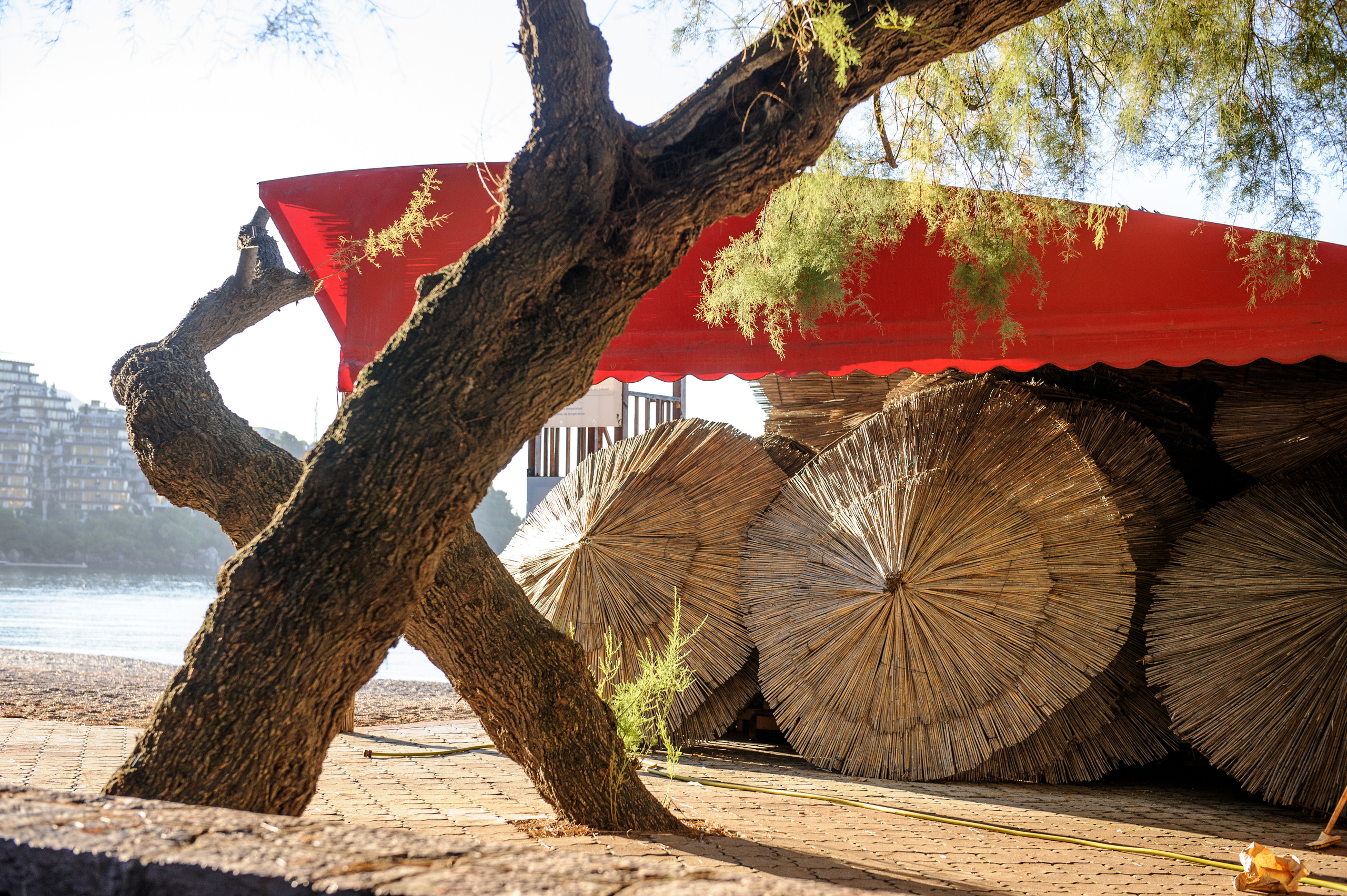 Фестиваль «Возраст Счастья» 2015. День Пятый. Семейный фотограф в Москве Елена Снегирева