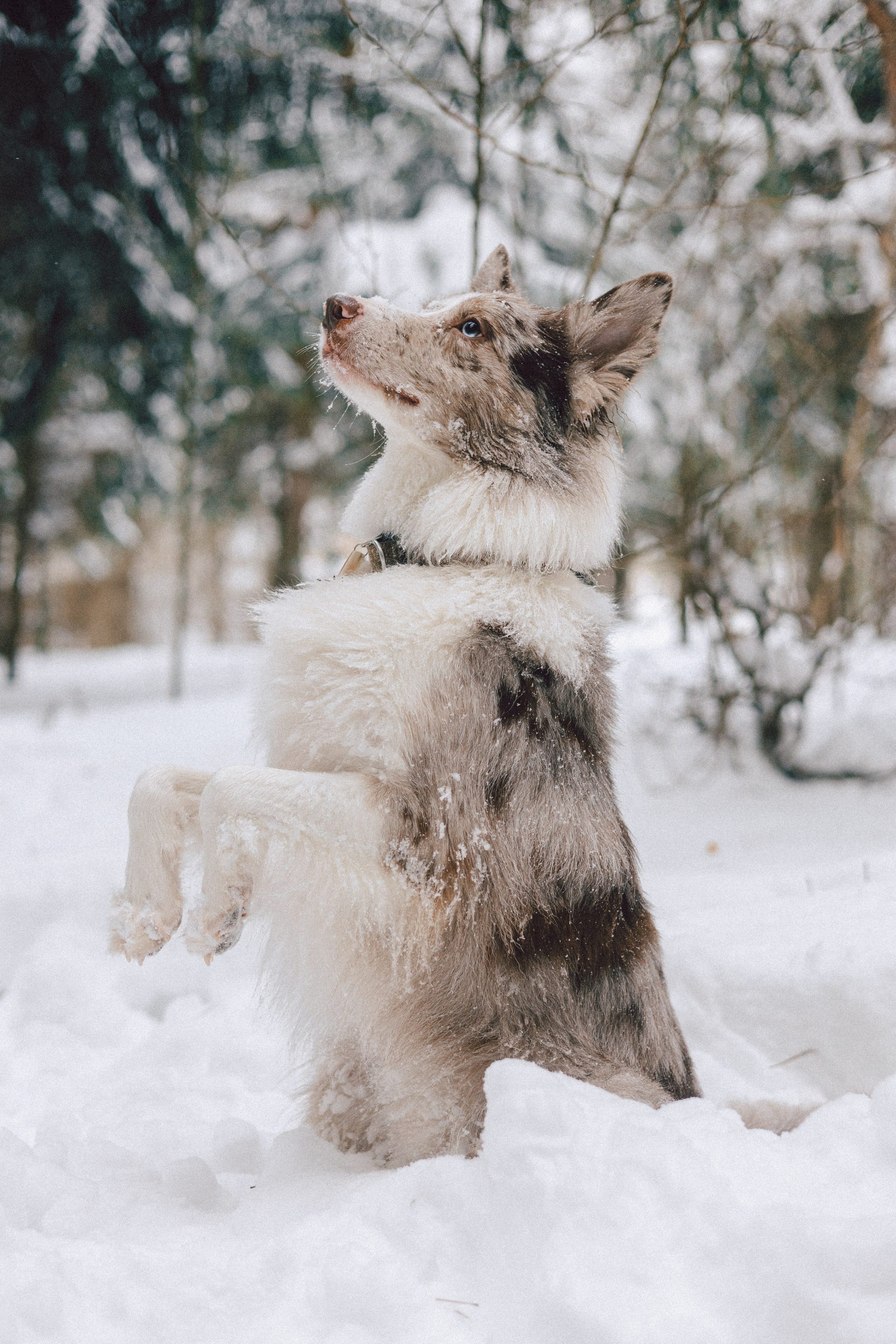 Настя и Ваня. Фотограф Анна Луценко Москва