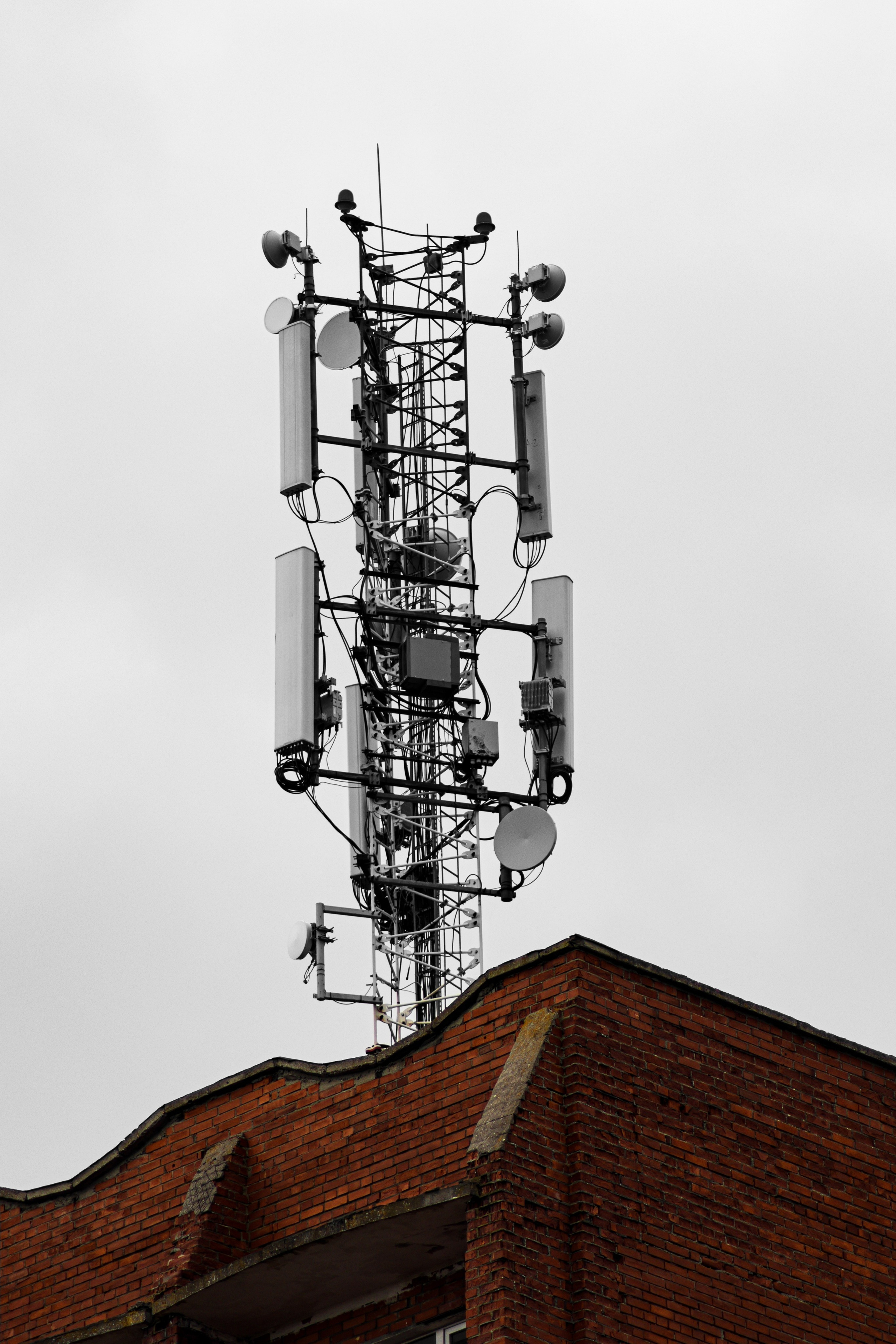 О Д И Н — Ц В Е Т. — Digital Noise —