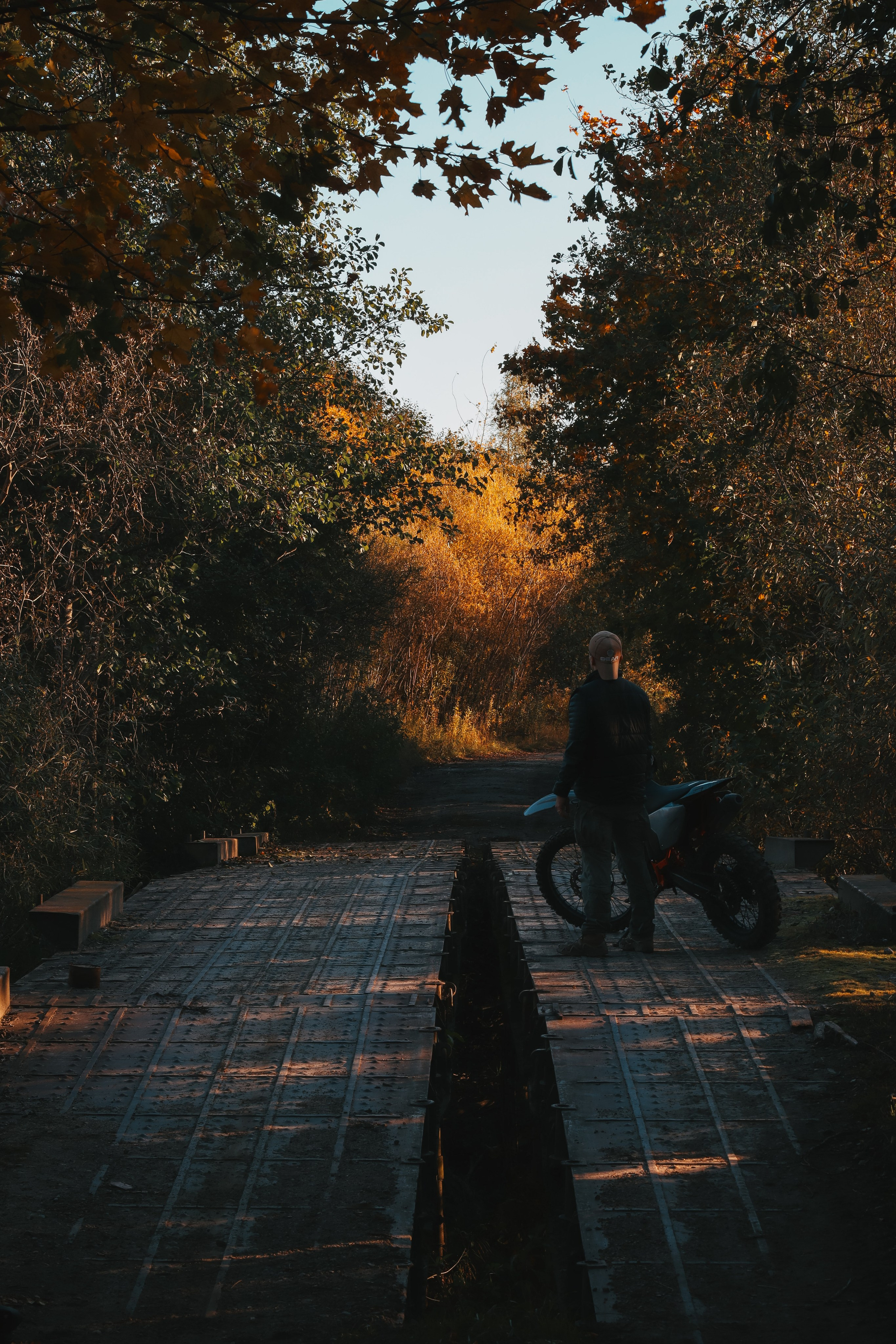 Никита П. (Daryl Dixon). — Digital Noise —