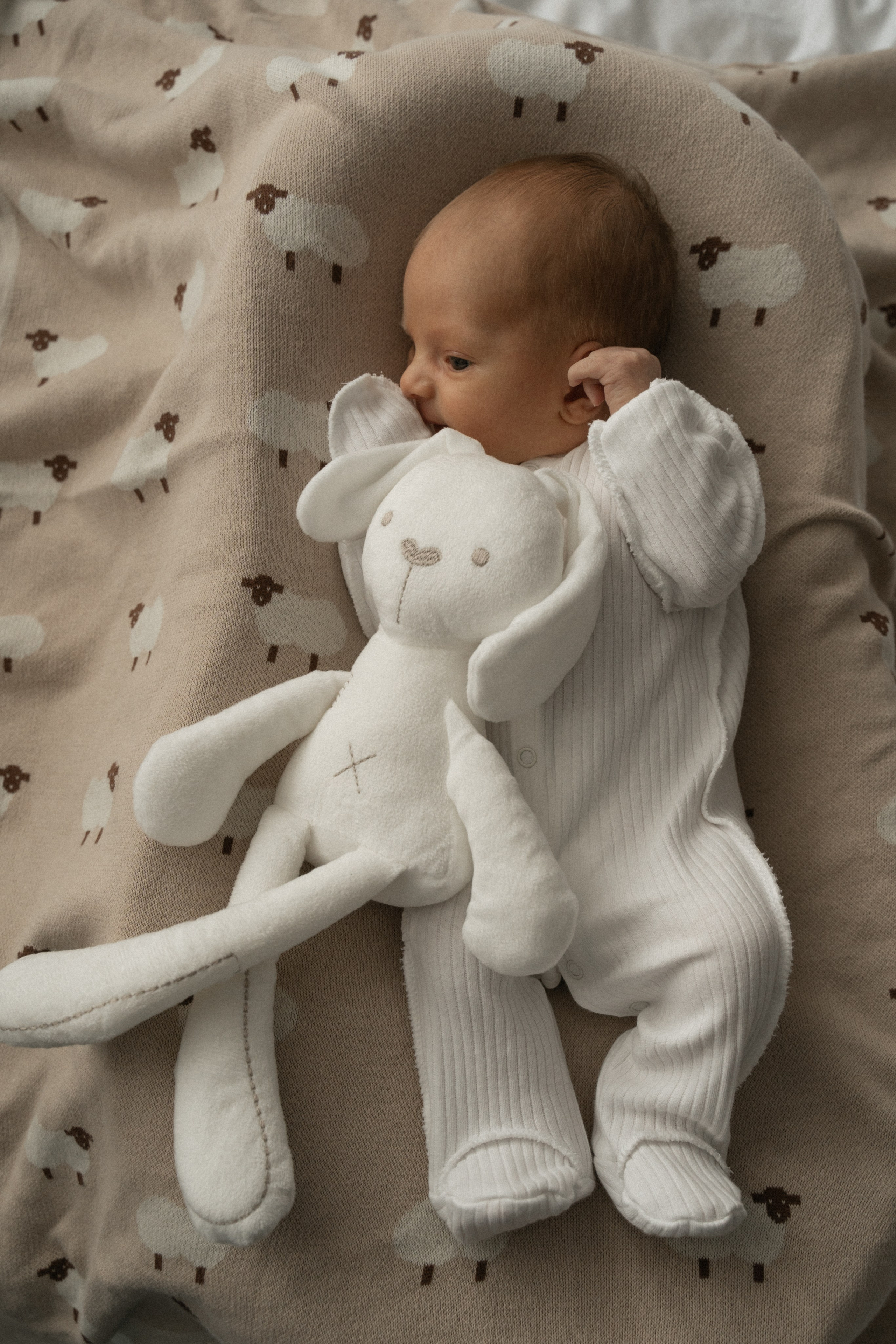 Новая жизнь. Моменты и истории о вас настоящих