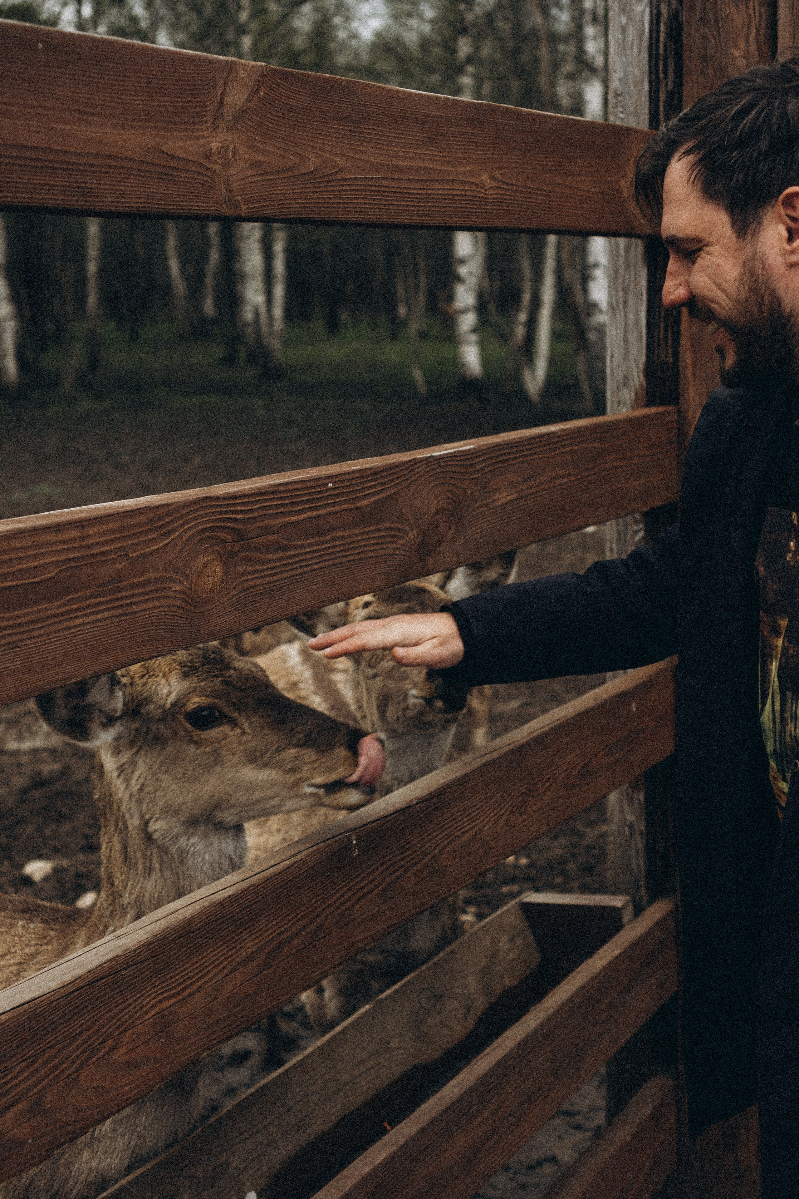 ОЛЕНЬЯ ФЕРМА В ТВЕРИ. Профессиональный фотограф, Санкт-Петербург — Виктория Богомолова