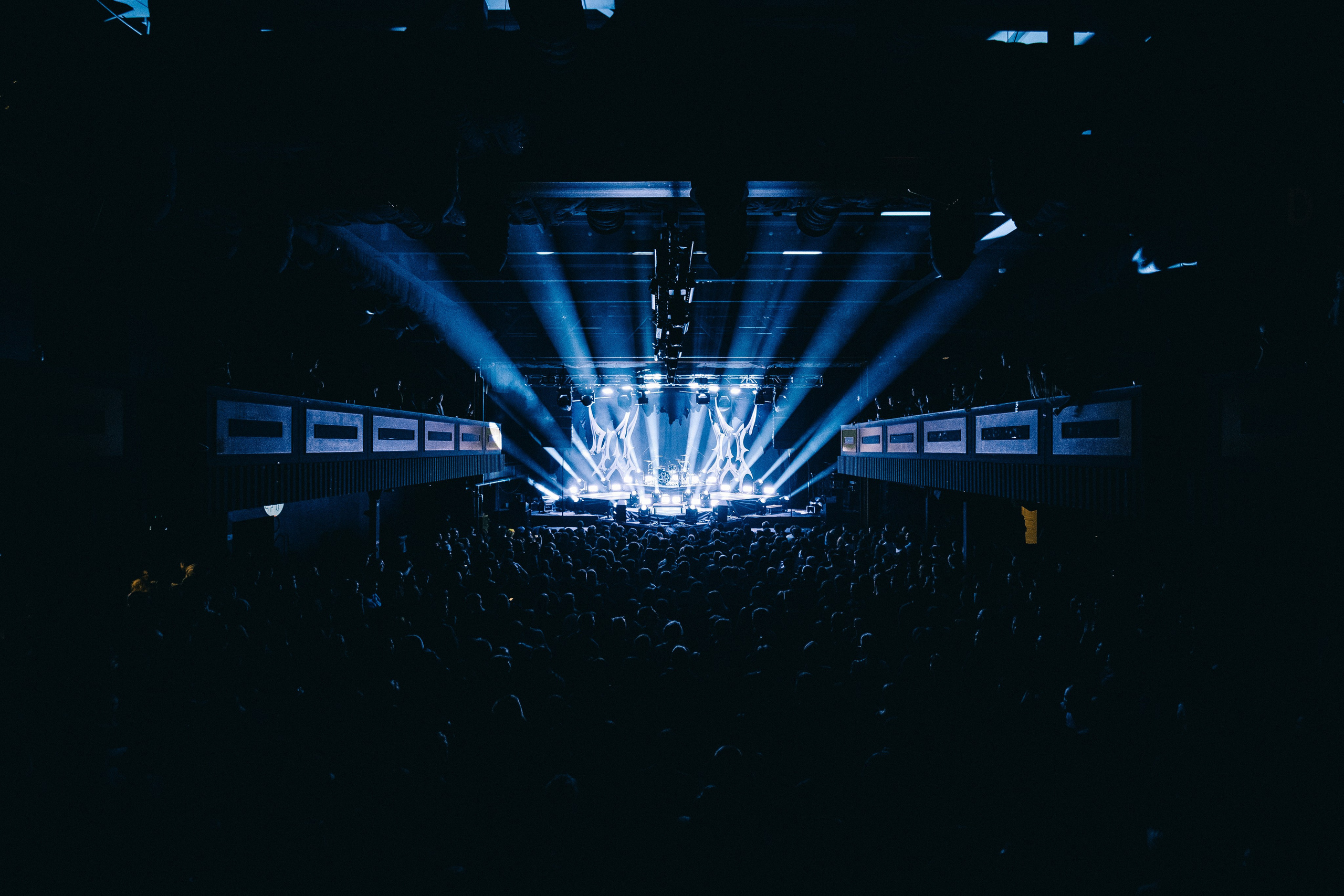 WILDWAYS. PASHAHARCE PHOTOGRAPHER & VIDEOGRAPHER