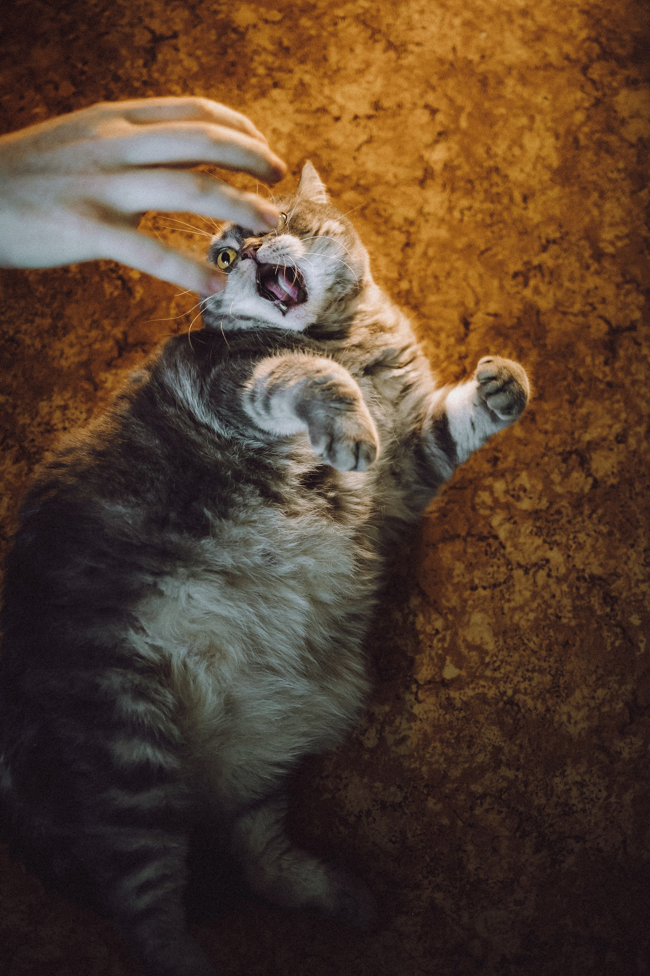 Яся и ее семья