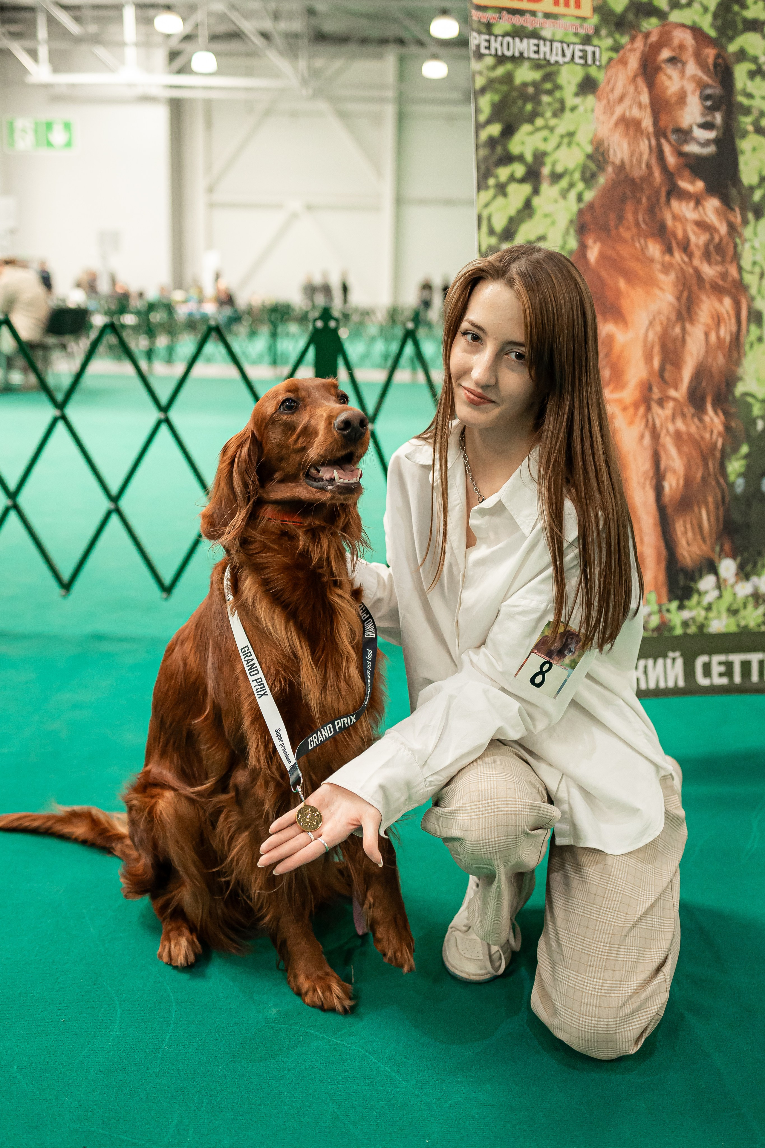 Выставка сеттеров 19.05.24