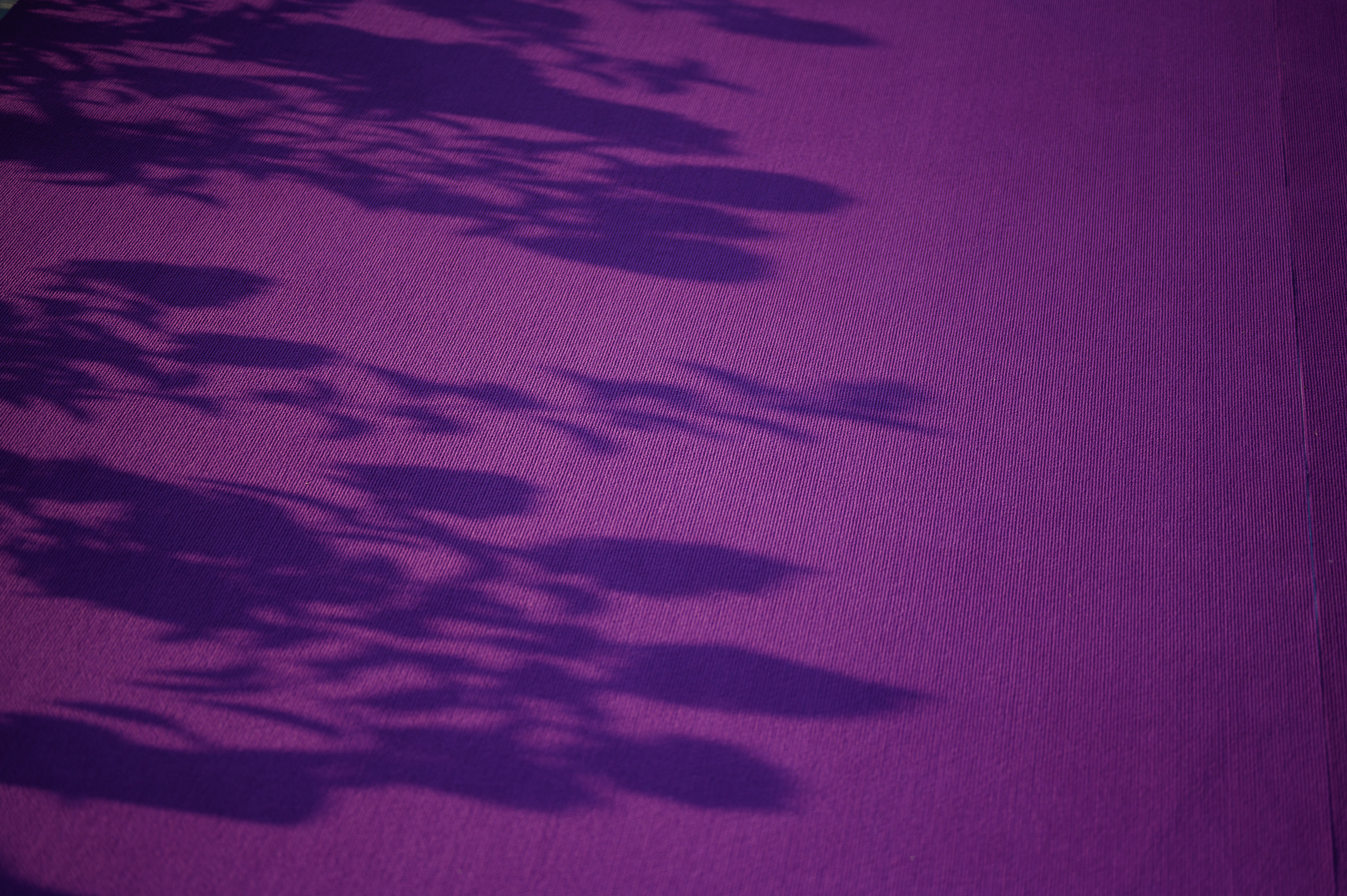 RZV Awards / Dima Bilan. Фотограф Антон Горин