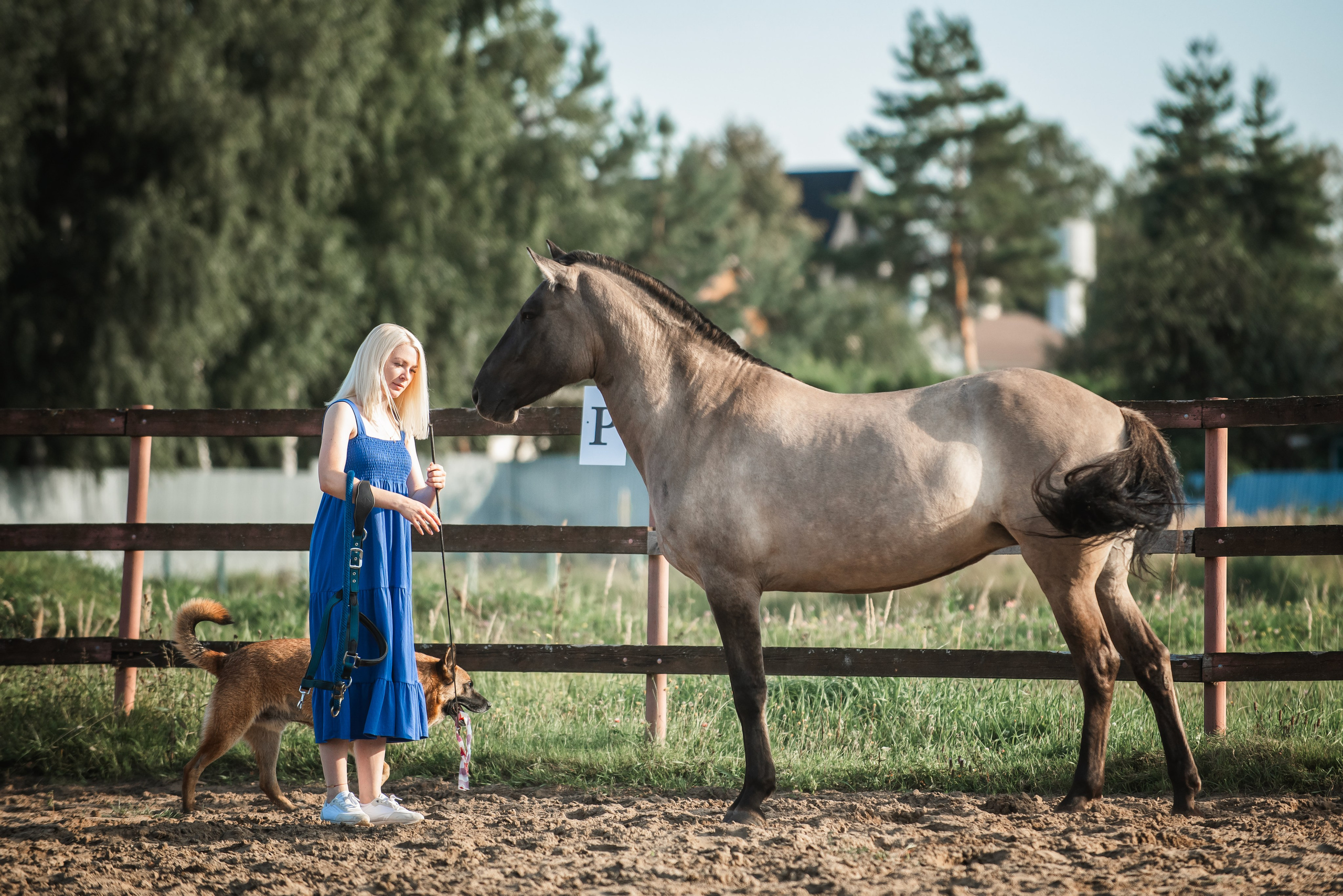 Катя SedlaMSK и Кася с Габи. Конный фотограф Куракина Дарья • Фотосессии с лошадьми