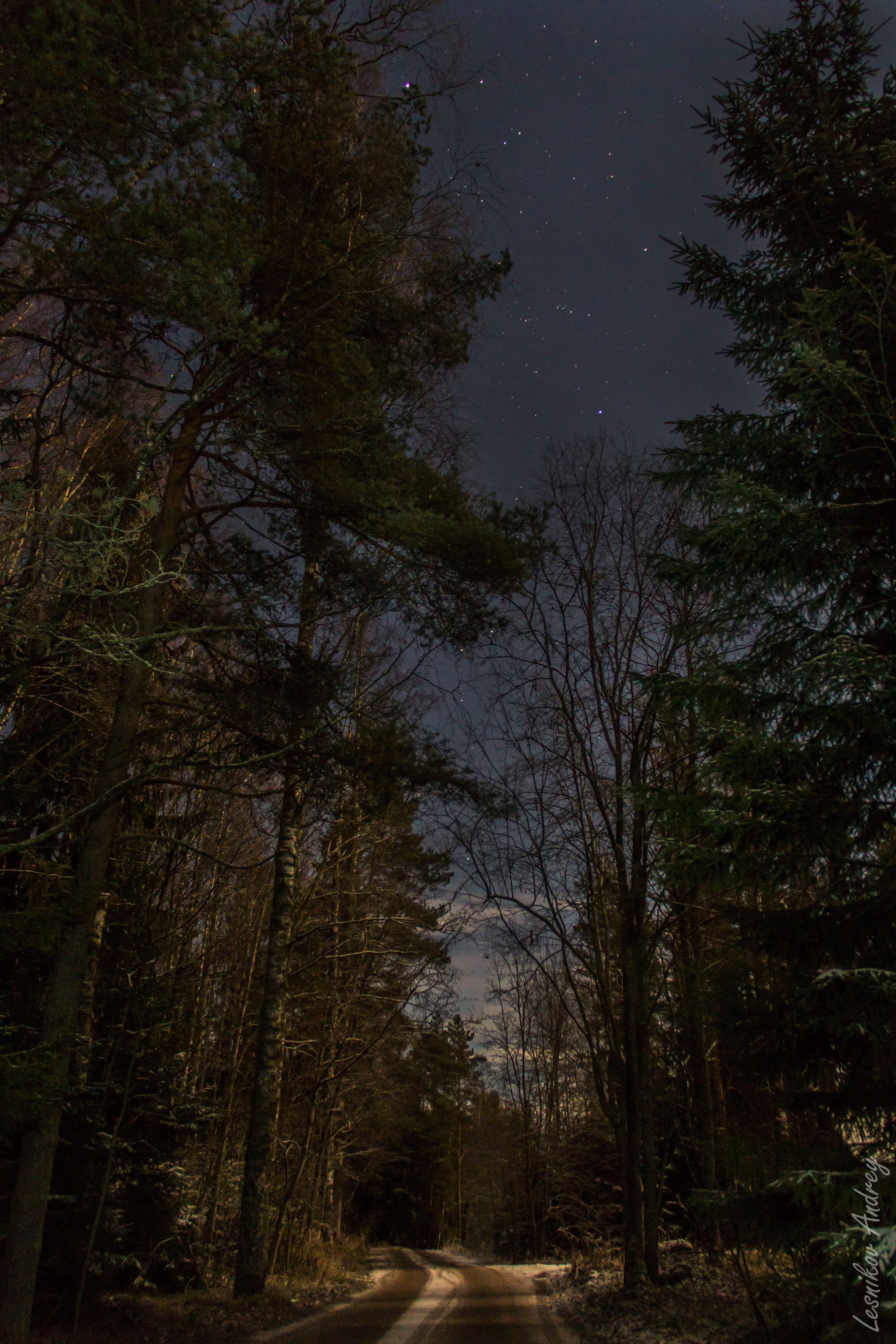На досуге. Фотограф в Вязьме