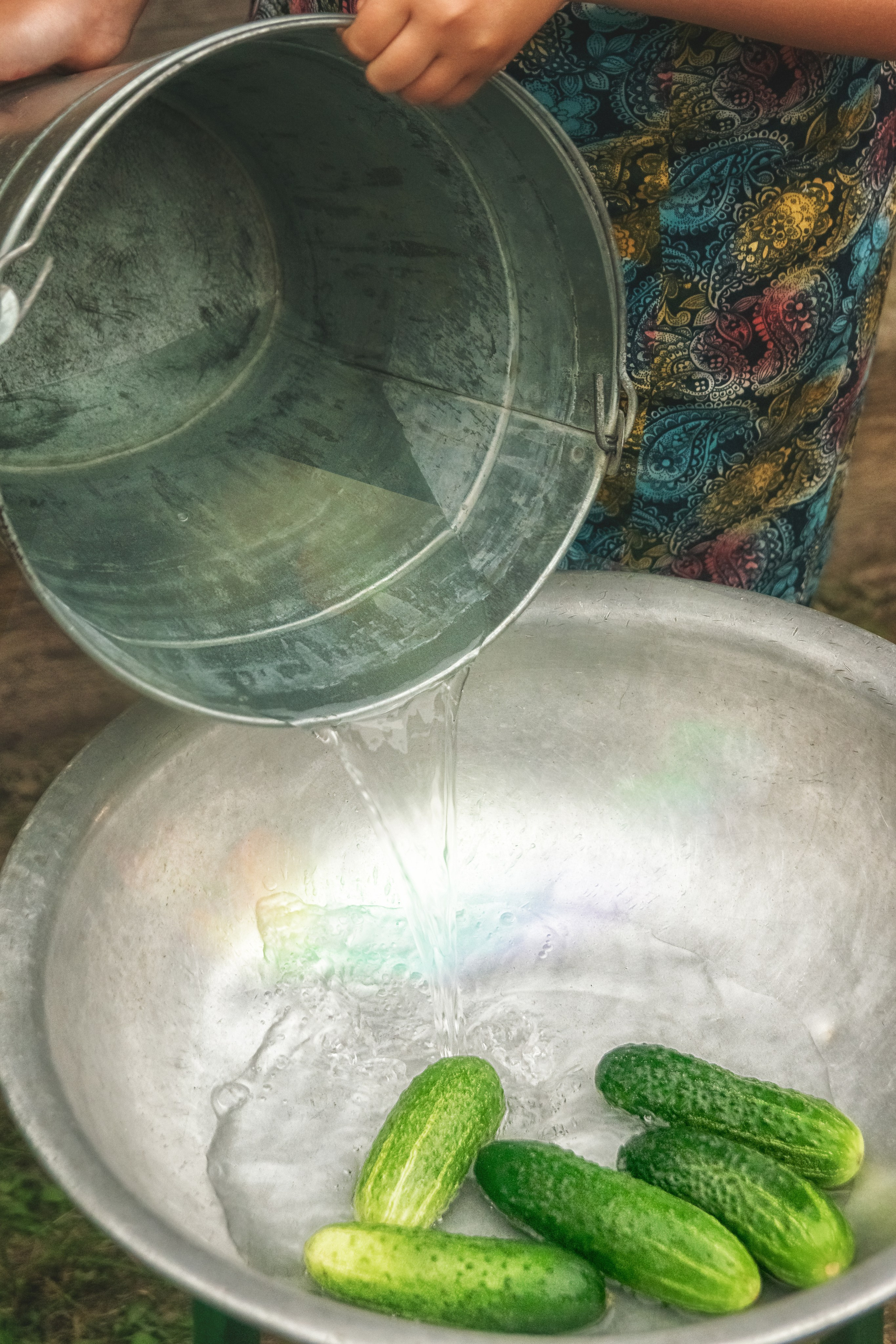 Огуречница. Детский и семейный фотограф Шклов, Могилев и вся Беларусь