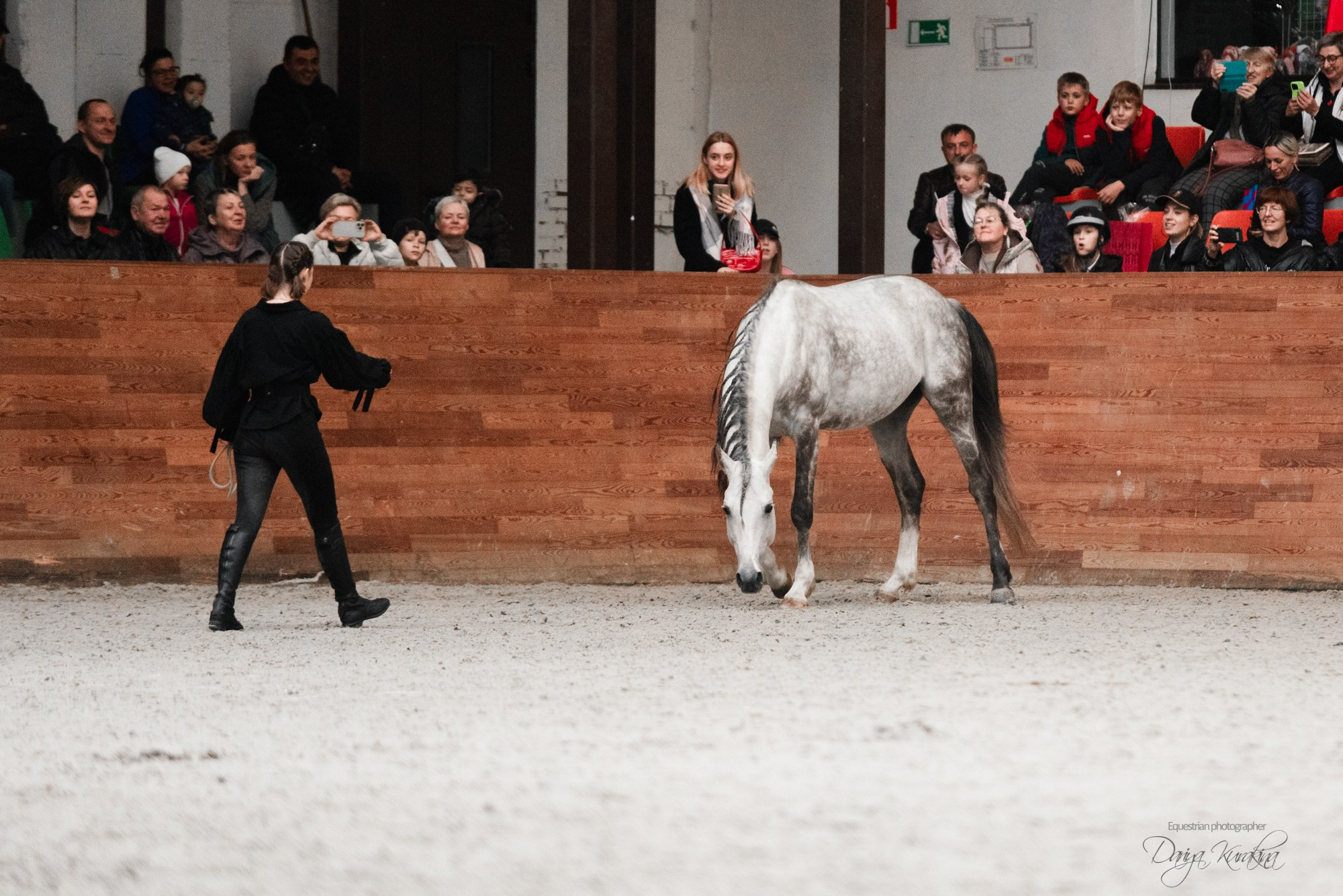 8-я международная выставка Конная Россия. Конный фотограф Куракина Дарья • Фотосессии с лошадьми