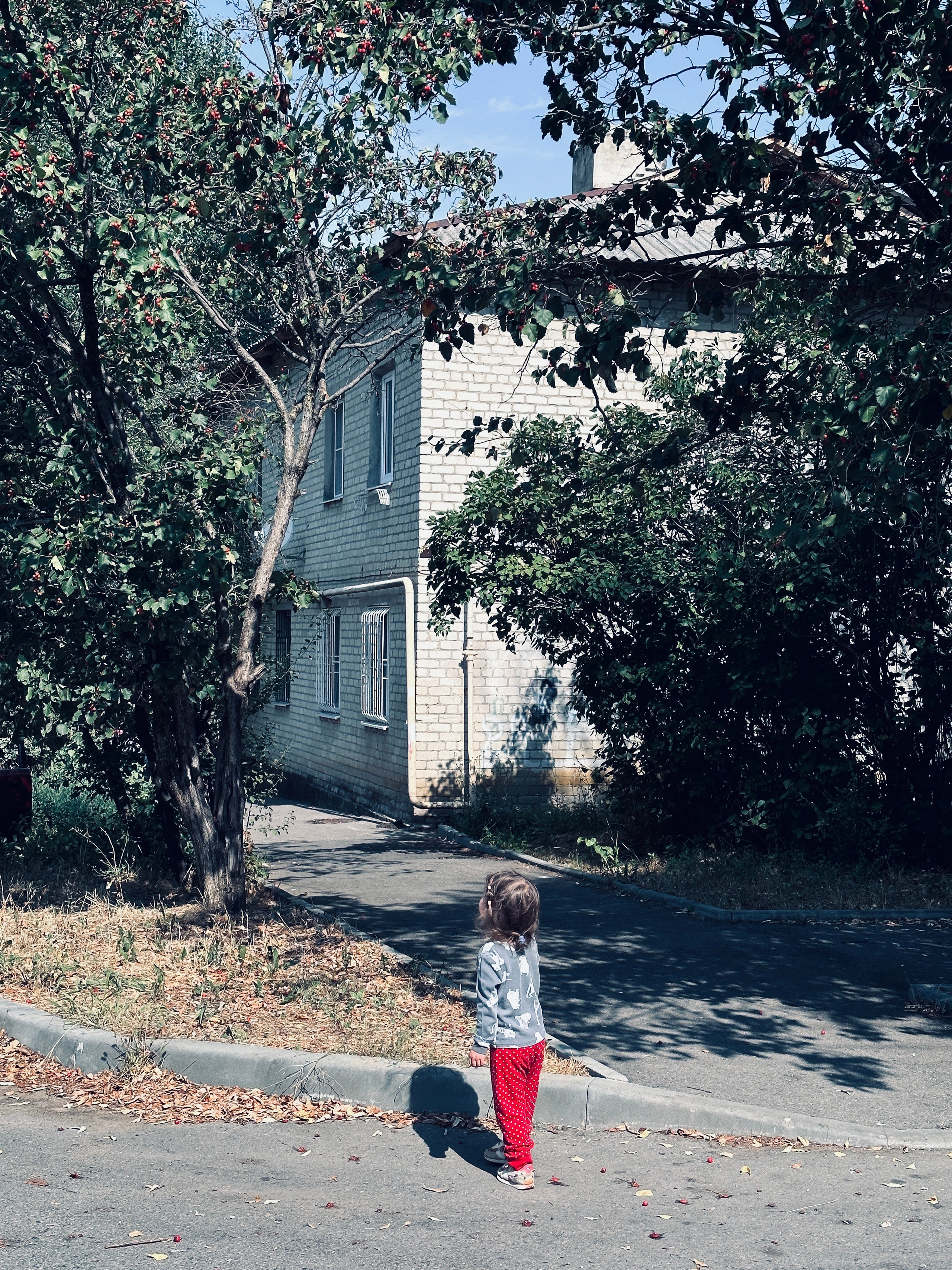 Дети. Смотри, красота!