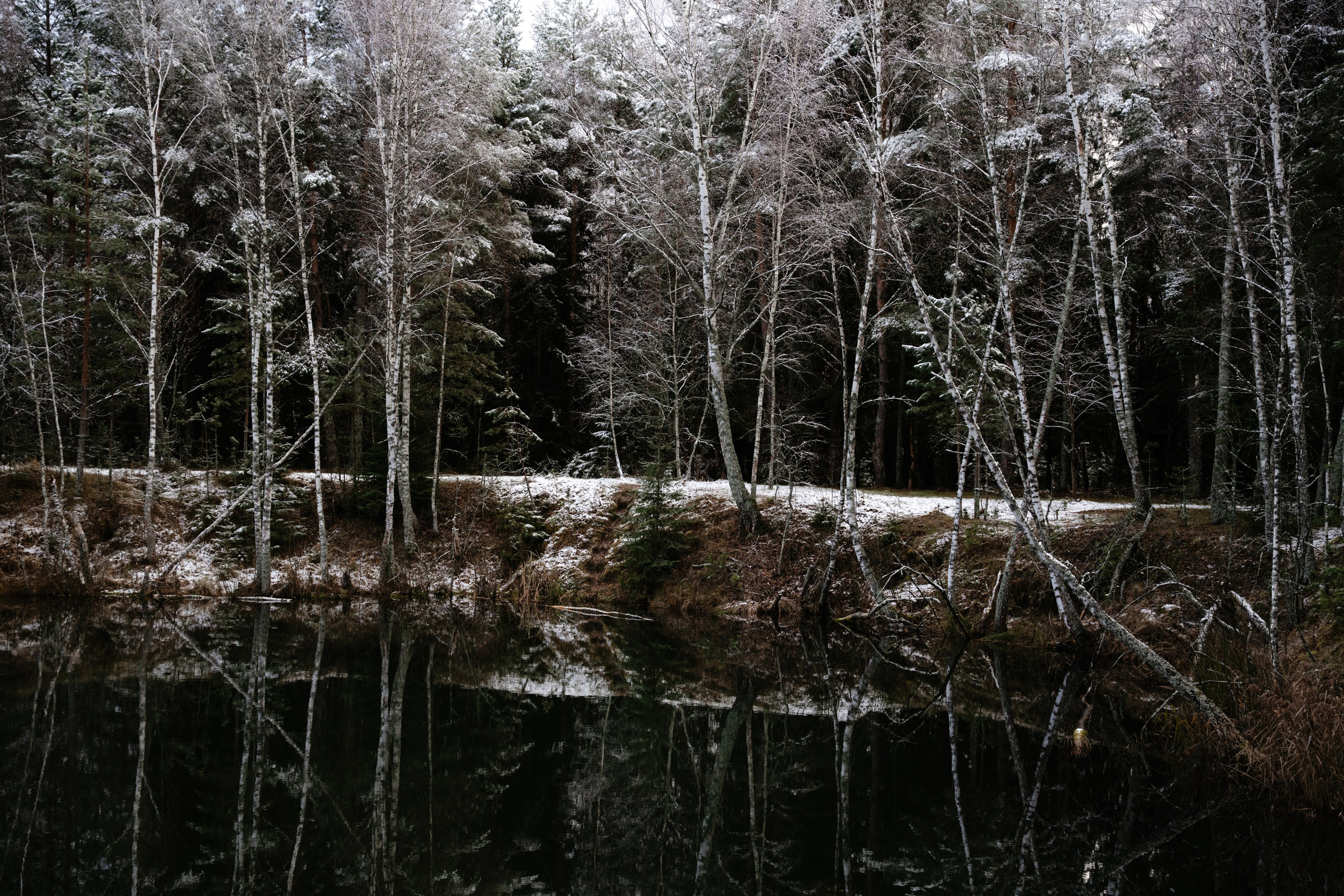 Суворовские карьеры. Vlad Trykov