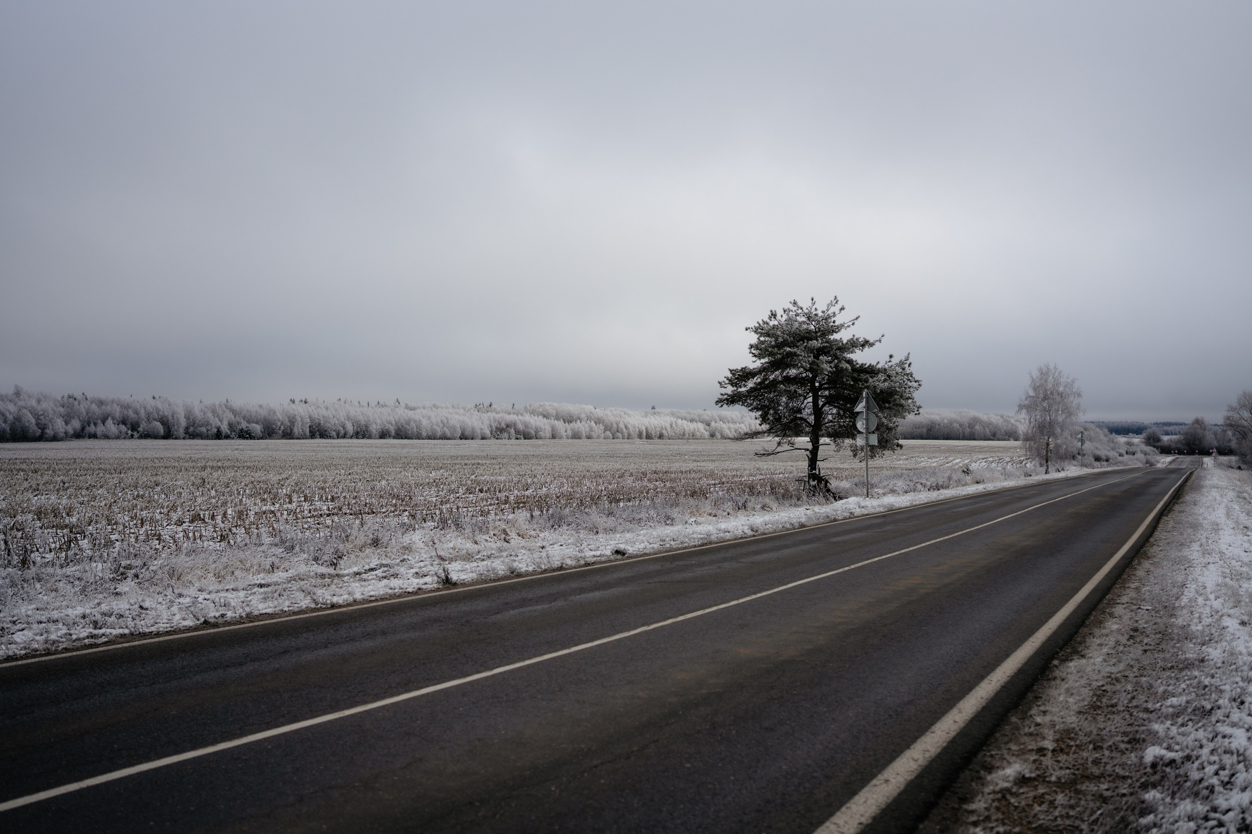Суворовские карьеры. Vlad Trykov