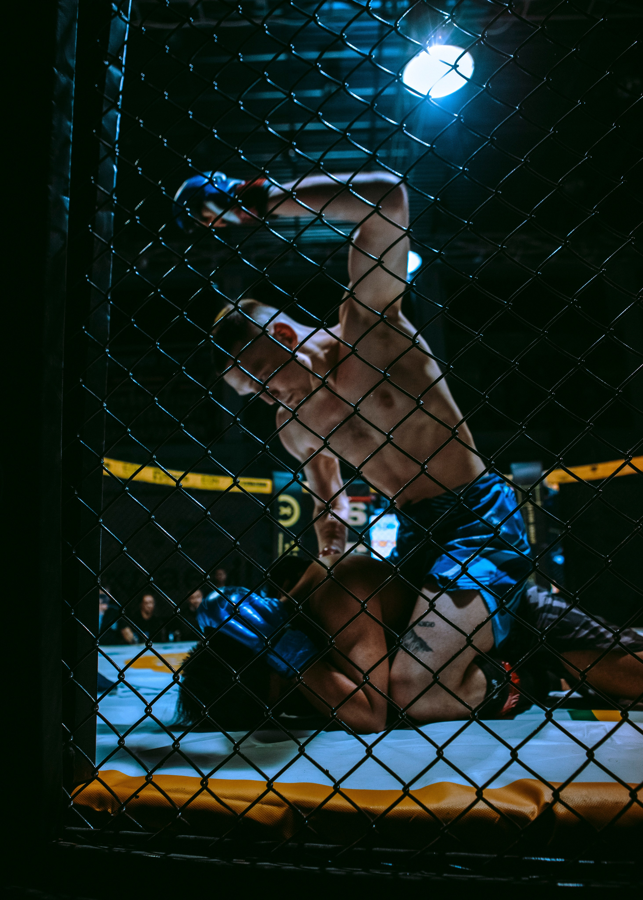 SFL 17 | Siberian Fighting League. Портретный фотограф в Москве Дарья Цезария