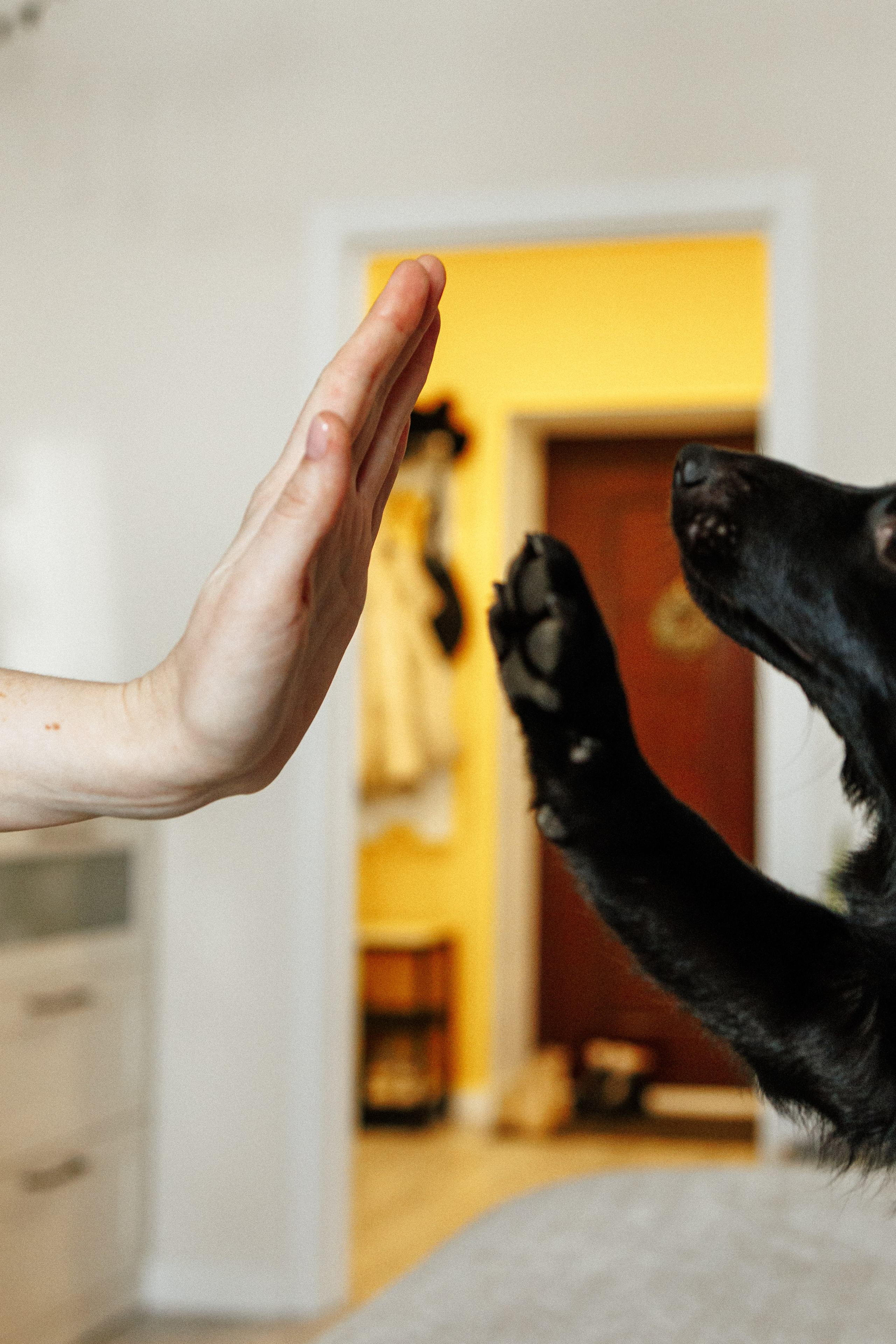 Юлия и Кит. Фотограф в Санкт-Петербурге Алёна Губинская