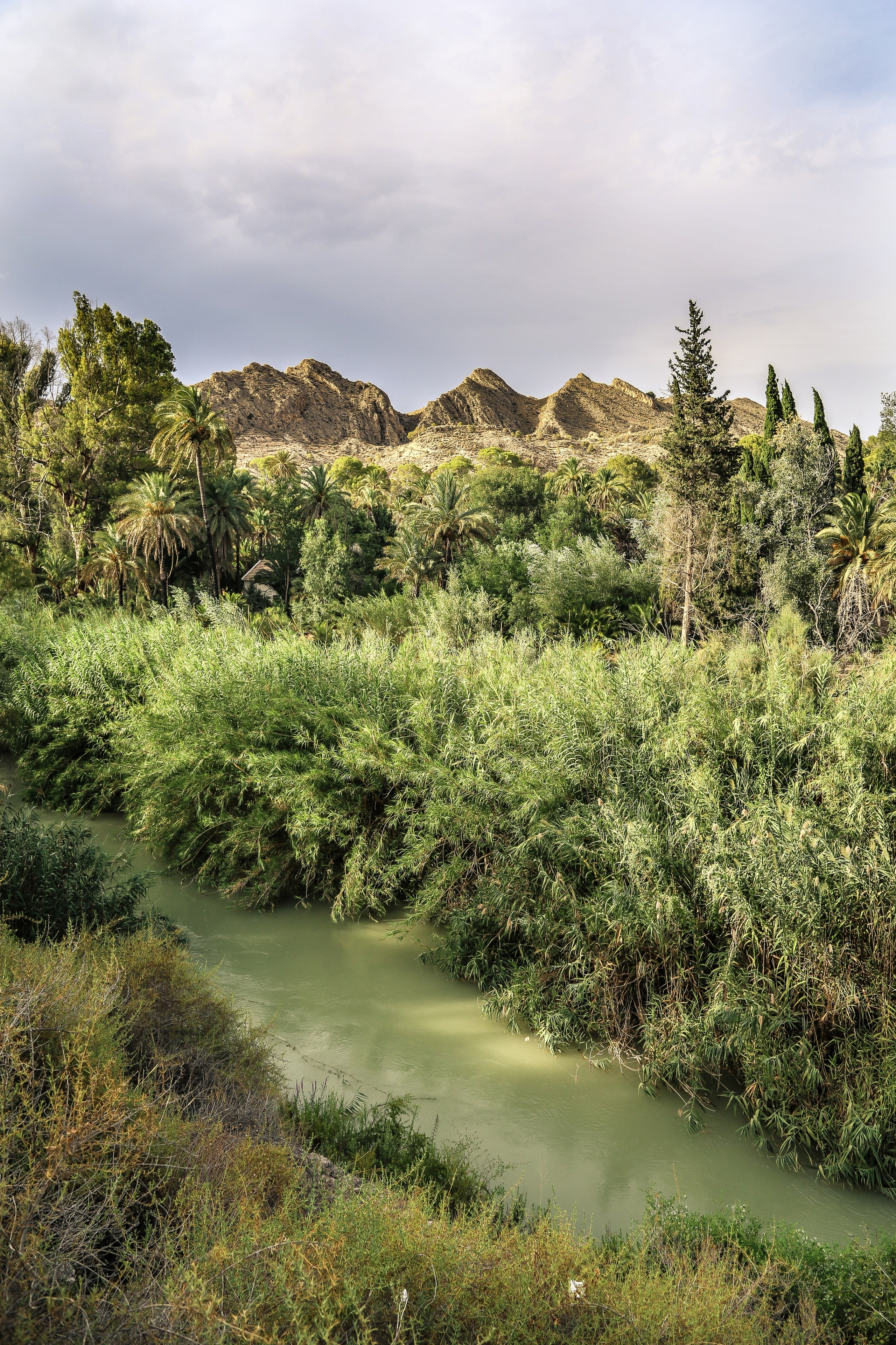 Испания: Мурсия и Арчена — взгляд с дистанции. Дарья Письменюк / Darya Leitstern — фотограф, музыкант, журналист, путешественник