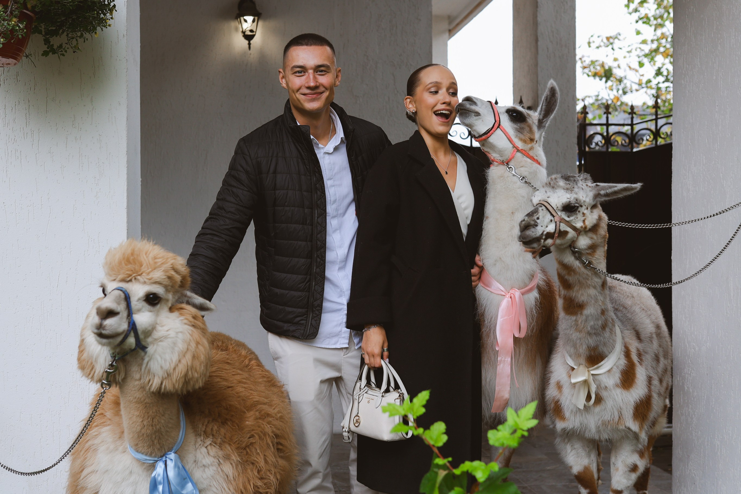 Зеленоградский ЗАГС. Свадебный фотограф Курзина Ольга | Москва