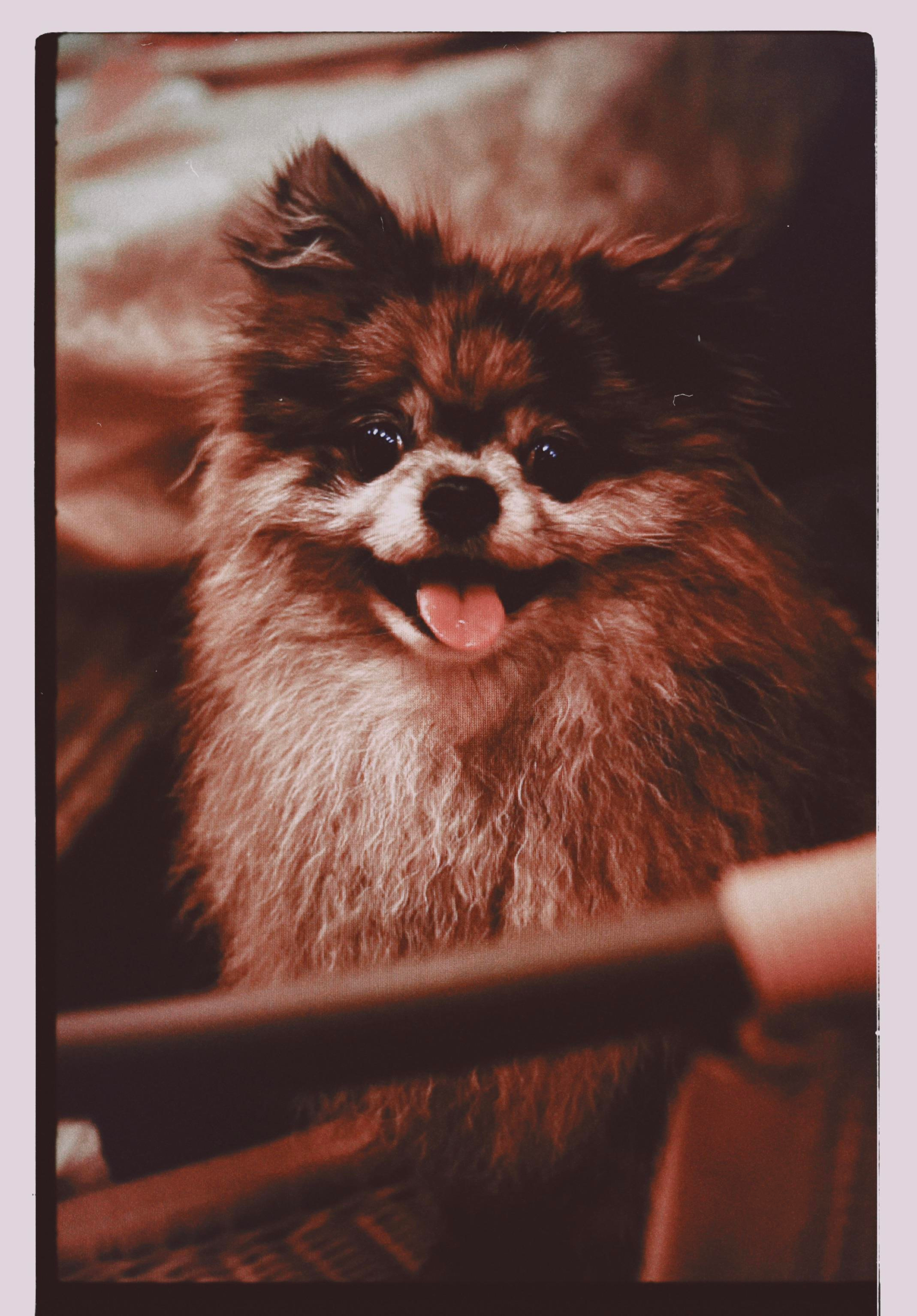 Пленочный Анонс Wedding day Игорь и Алена. Свадебный фотограф Колесников Антон