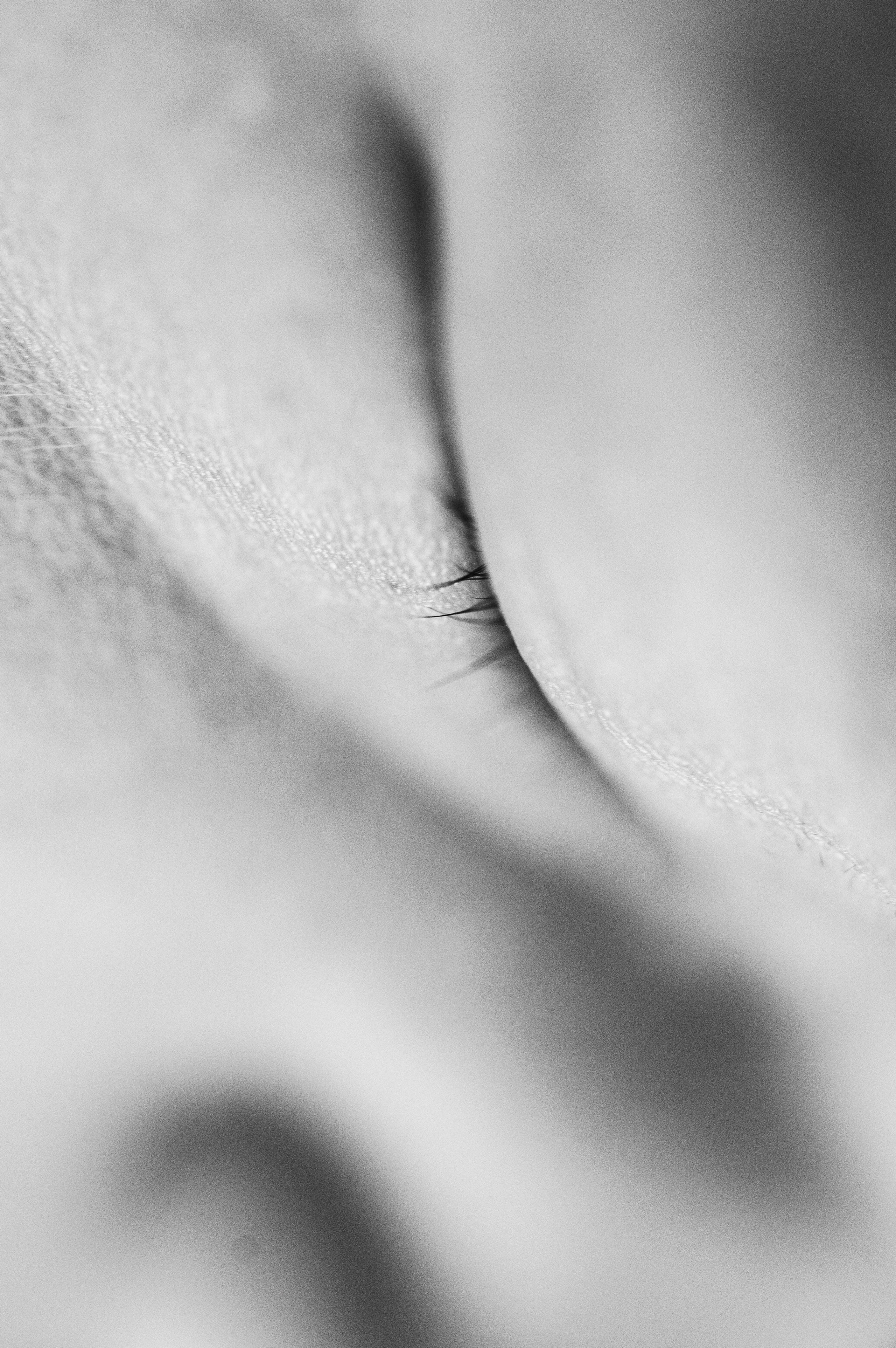 Владимир родился. Фотограф на роды СПБ Юлия Герасимова