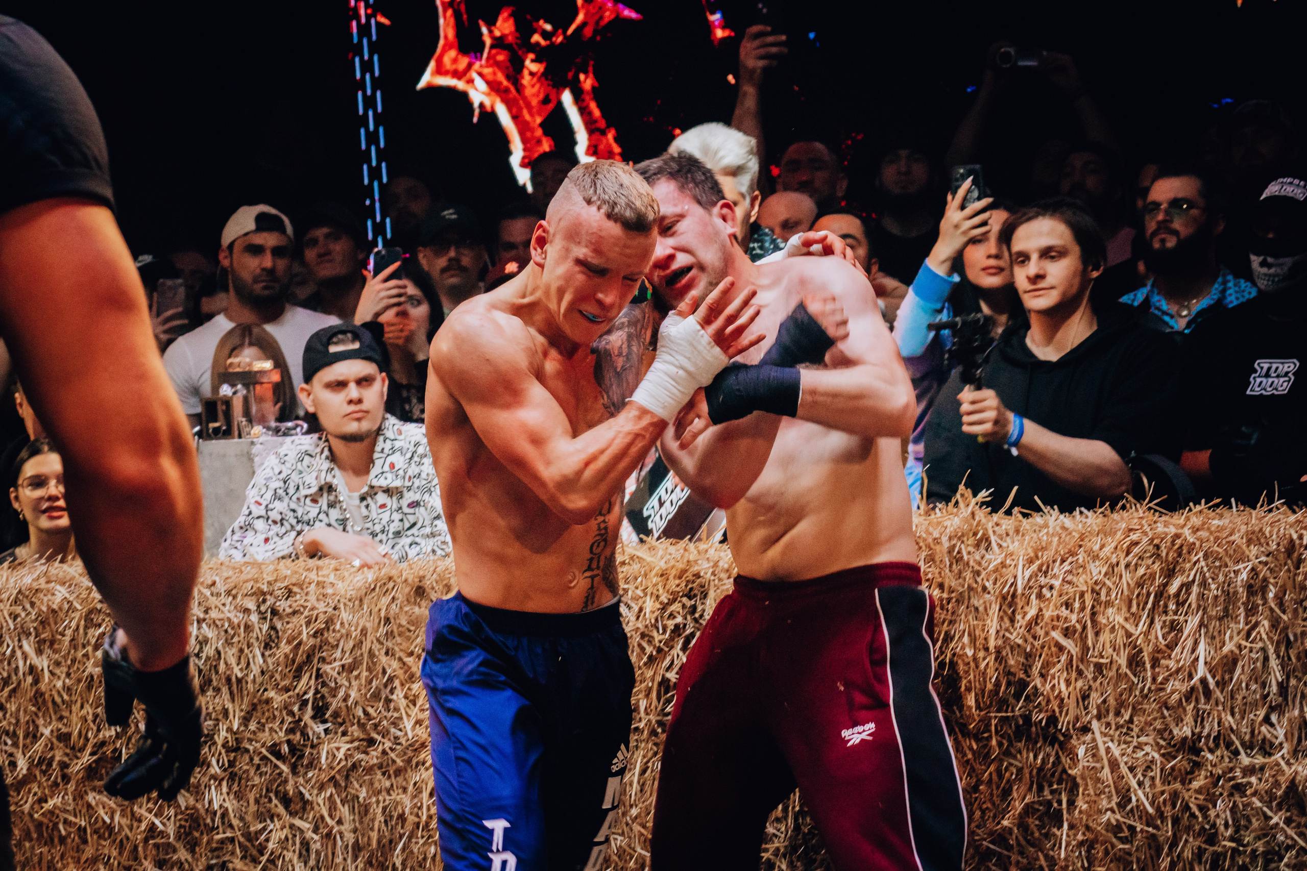 Кулачные бои TopDog. Анастасия Тен