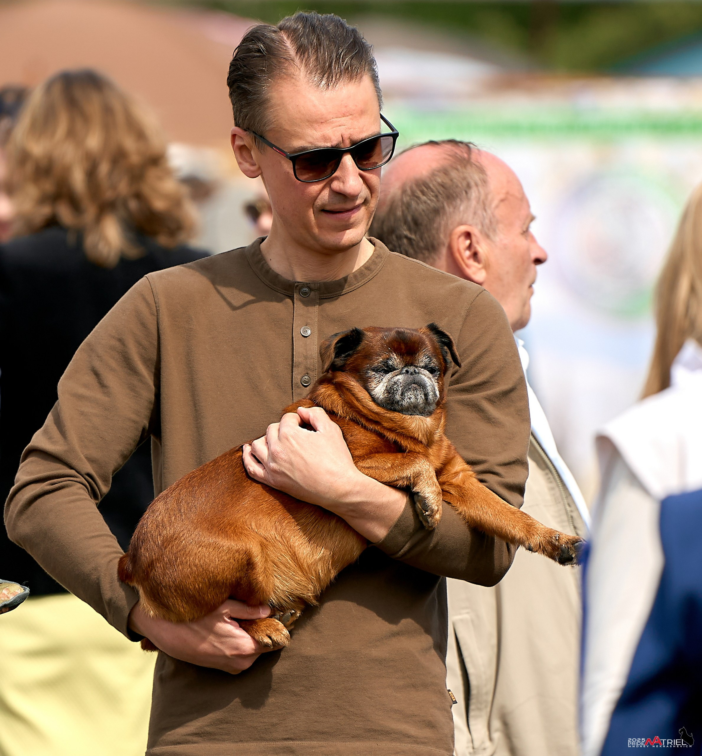 Выставка собак Суздаль-Владимир