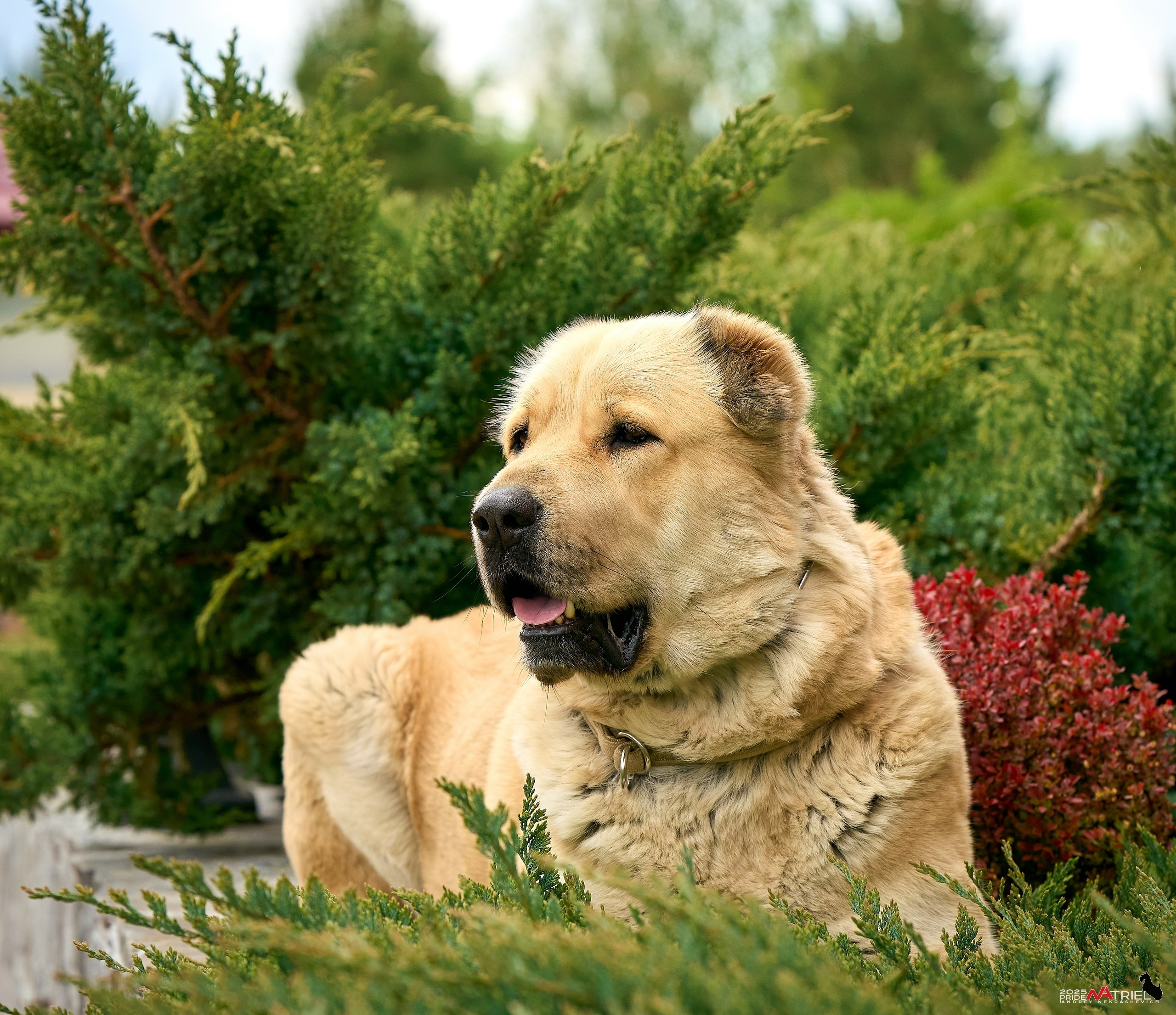 Съемка в питомнике