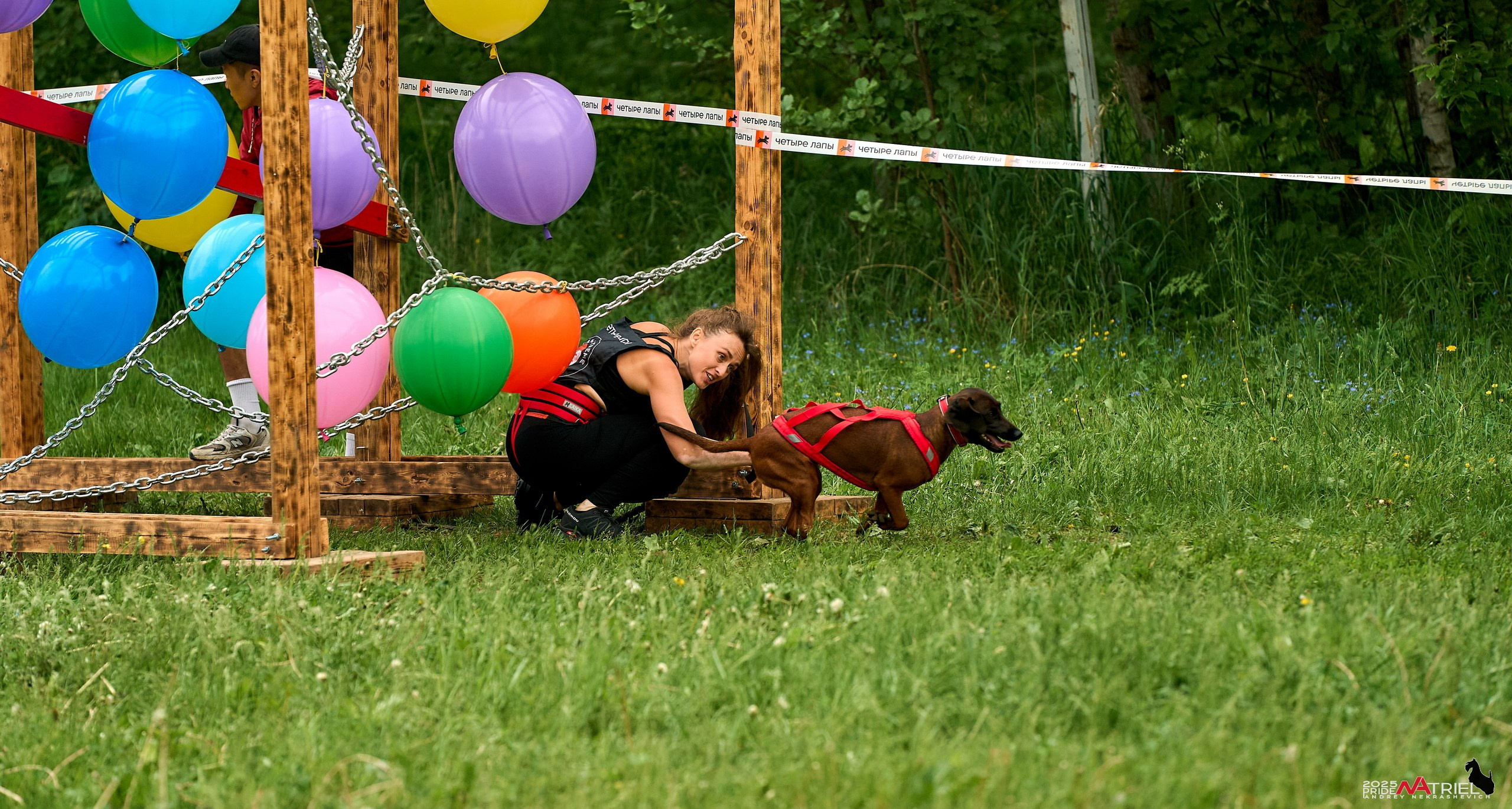 Russian Extreme Dog Trail — 2025