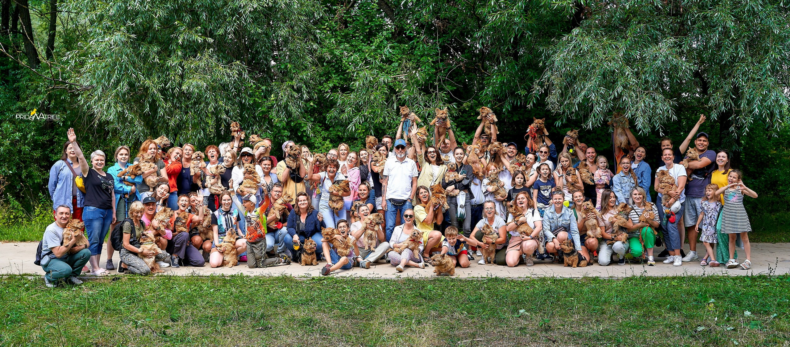 Мероприятия с собаками — галерея NATRIEL