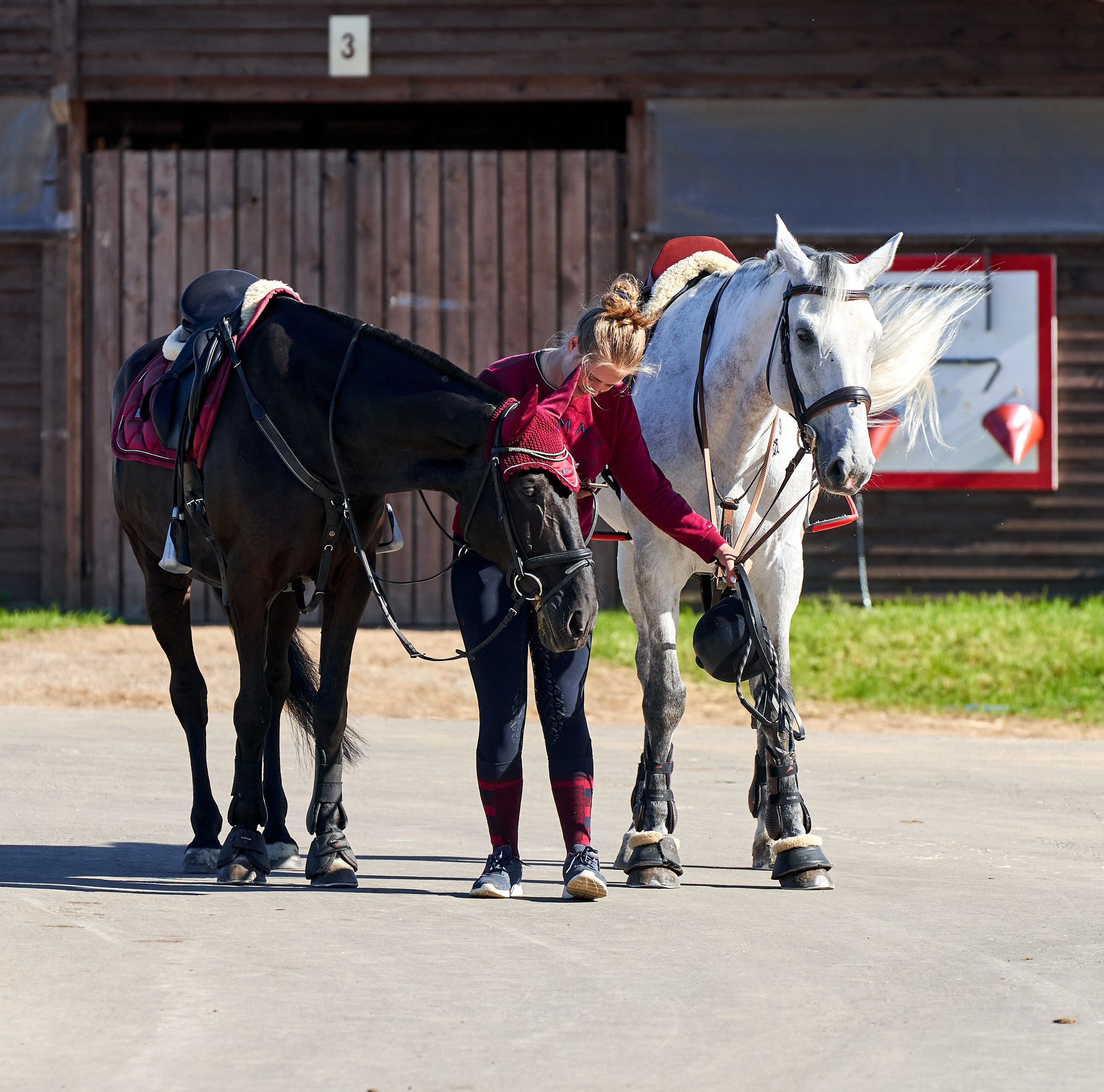 Соревнования на лошадях — галерея NATRIEL