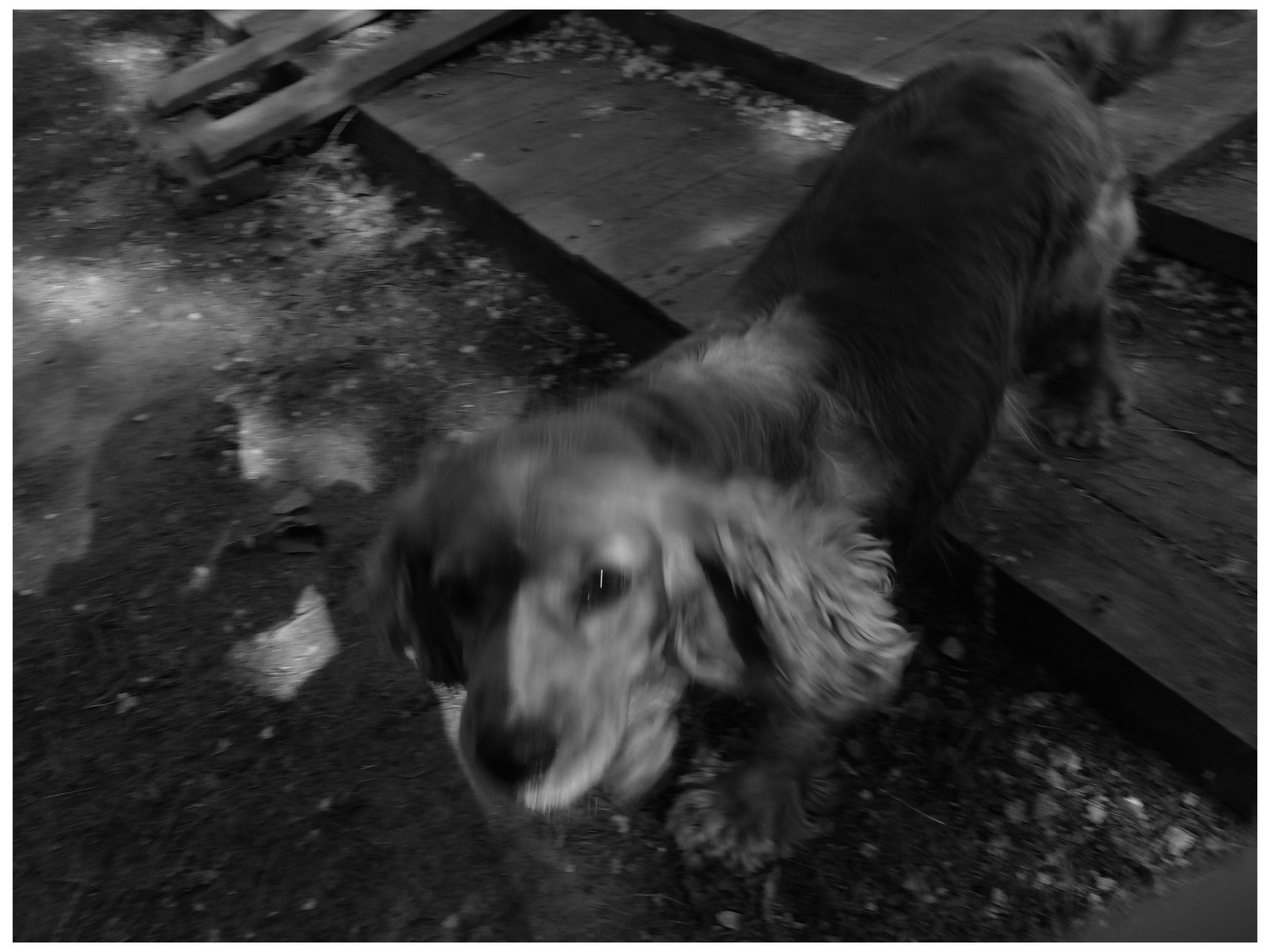 Промежуточные моменты (2022)