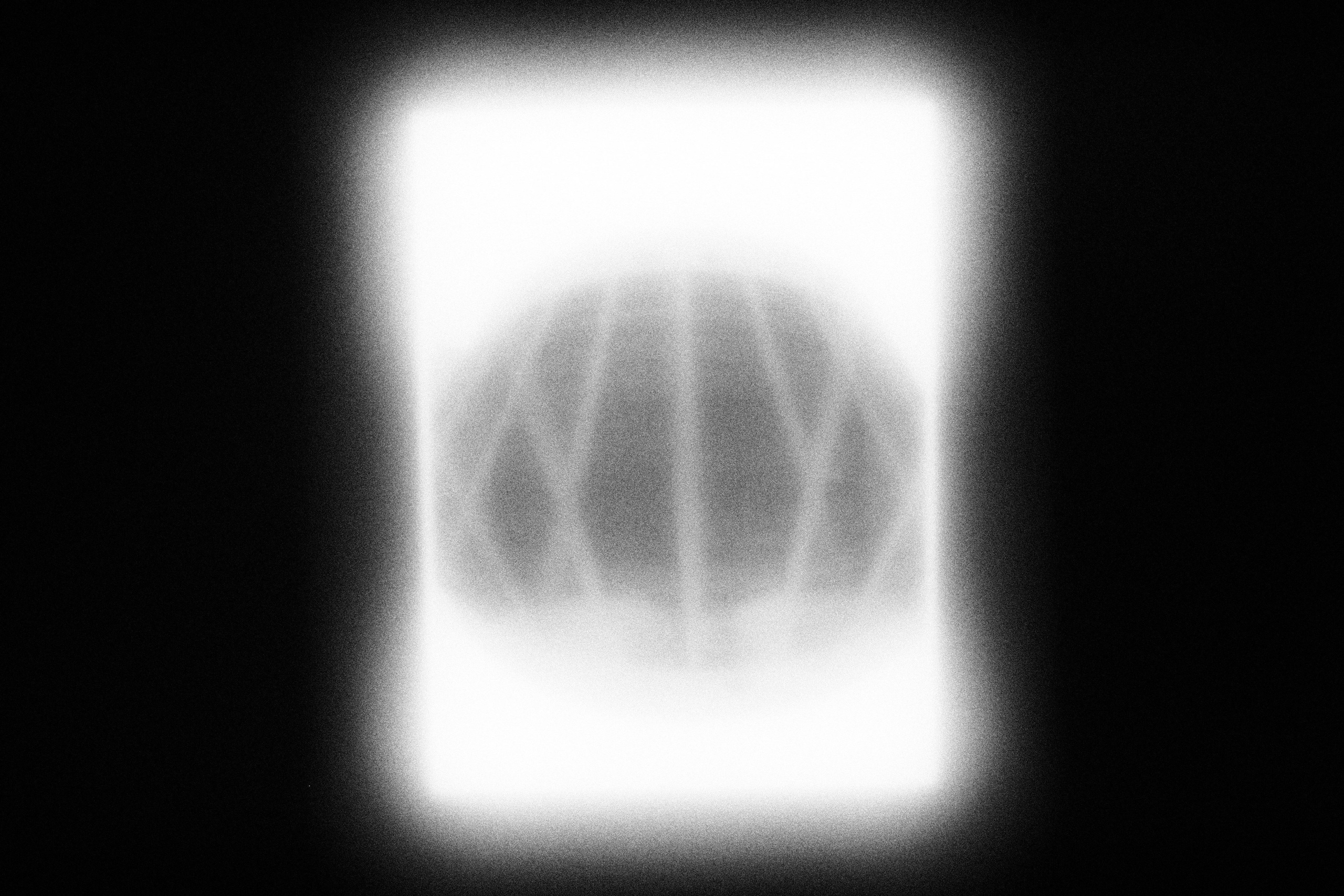 Маленькие искусства и я, Полина Шадрина