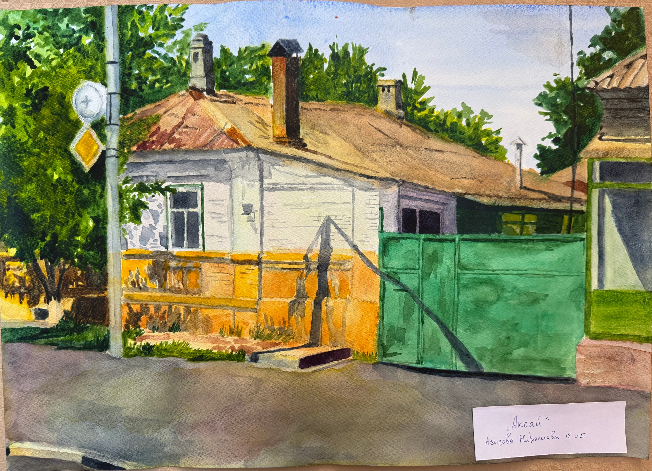 Азизова Мирослава. АНО «Центра социальных проектов «Путь в большой мир»