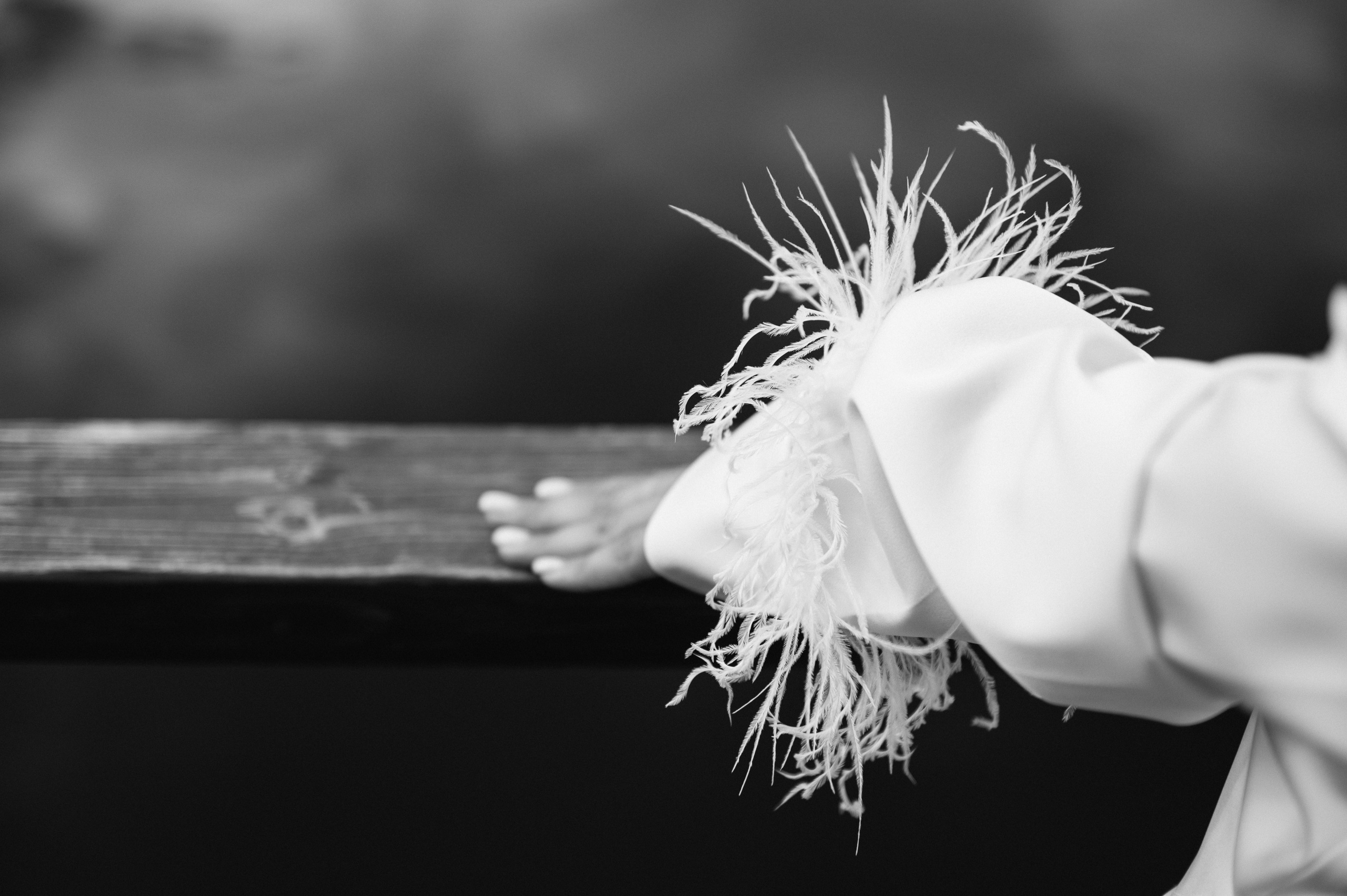 Дима и Дарья. Свадебный фотограф Минск